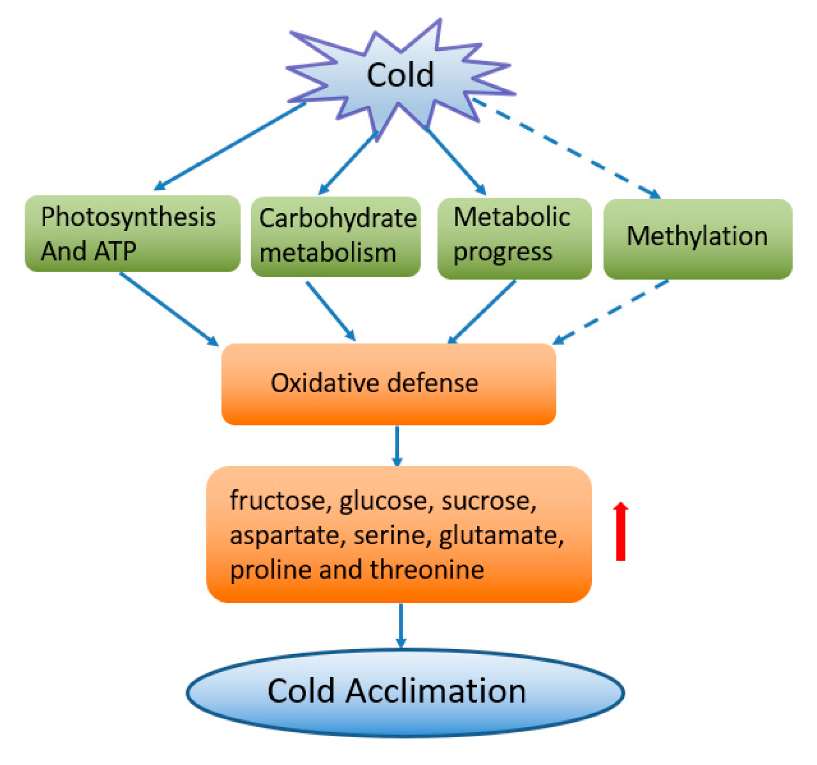 Plants 08 00474 g009