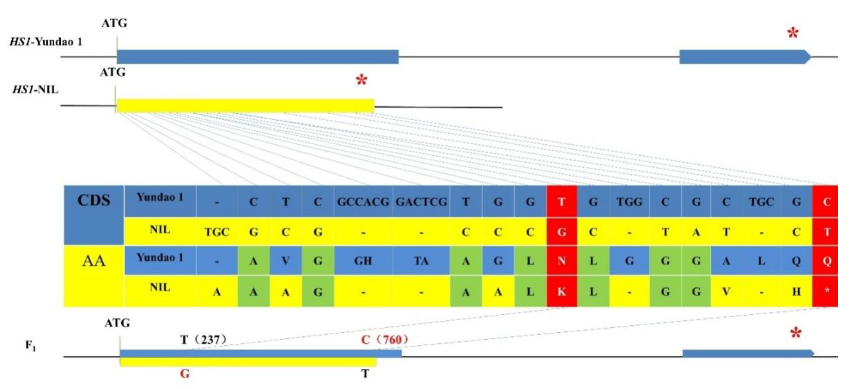 Plants 08 00475 g003 Plants 08 00475 g003