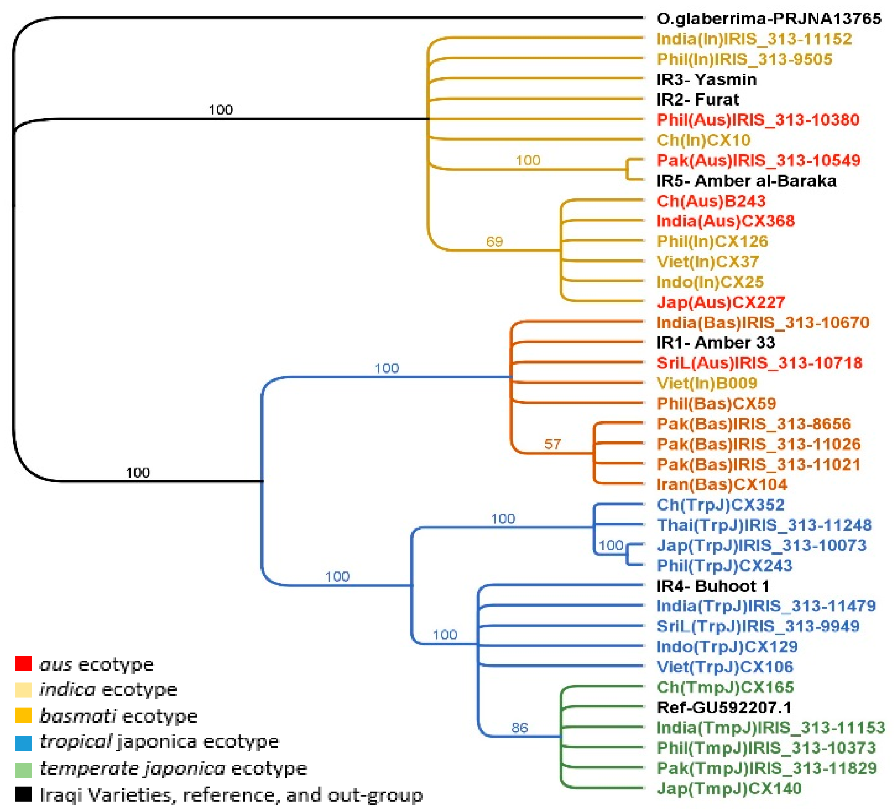 Plants 08 00481 g001 Plants 08 00481 g001