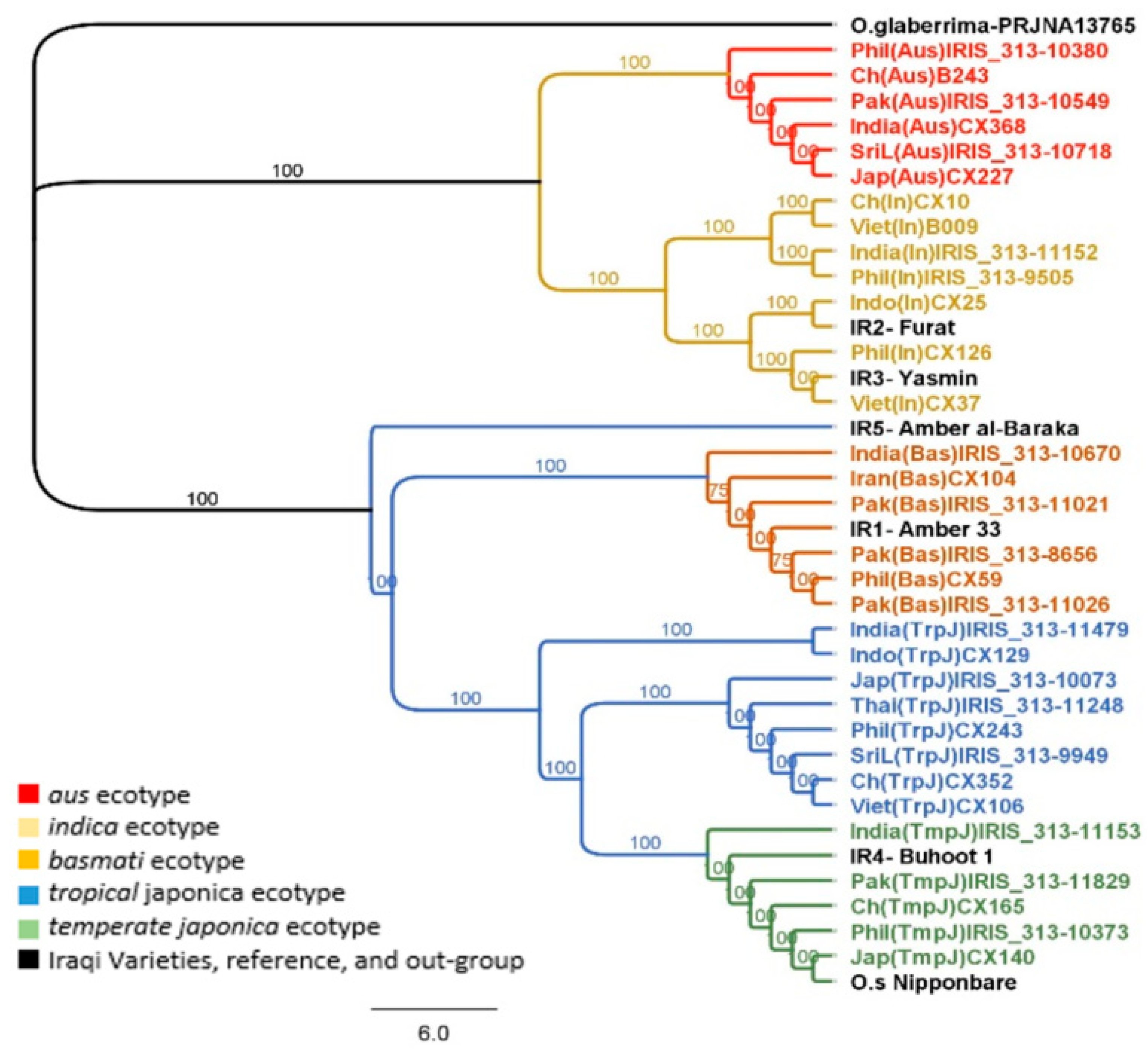 Plants 08 00481 g002 Plants 08 00481 g002