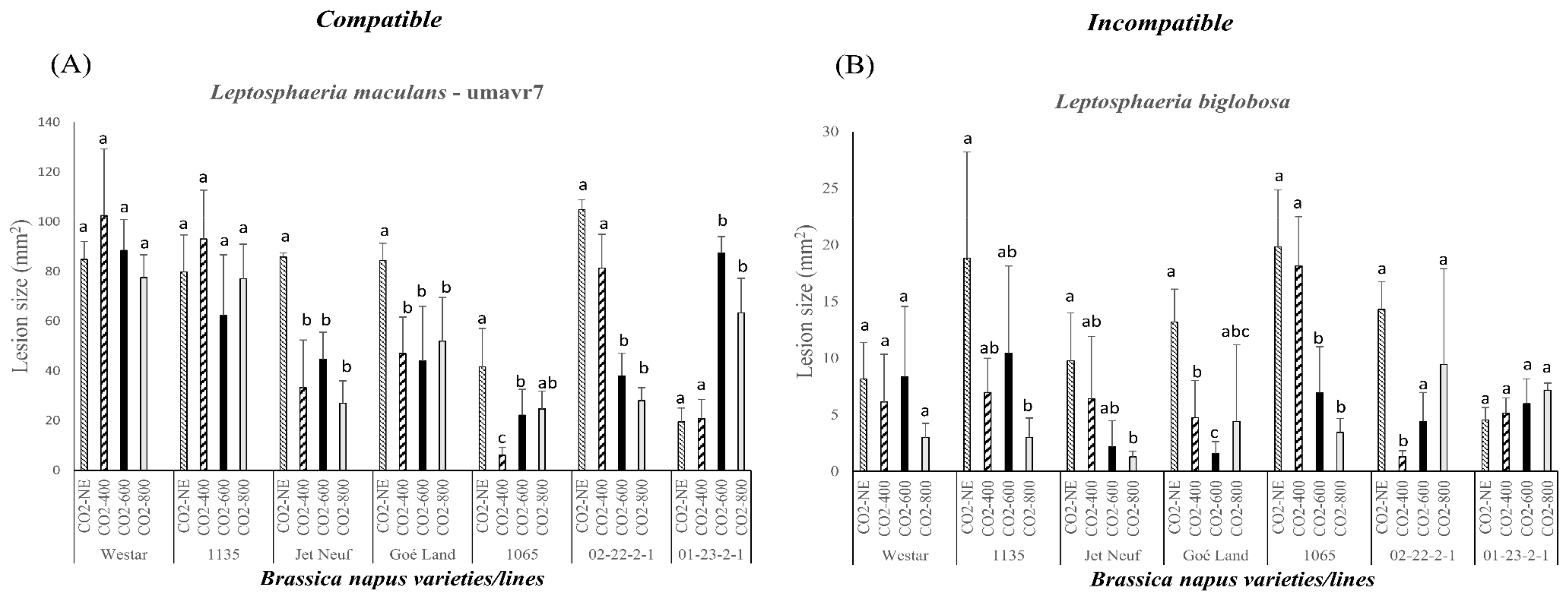 Plants 08 00484 g002