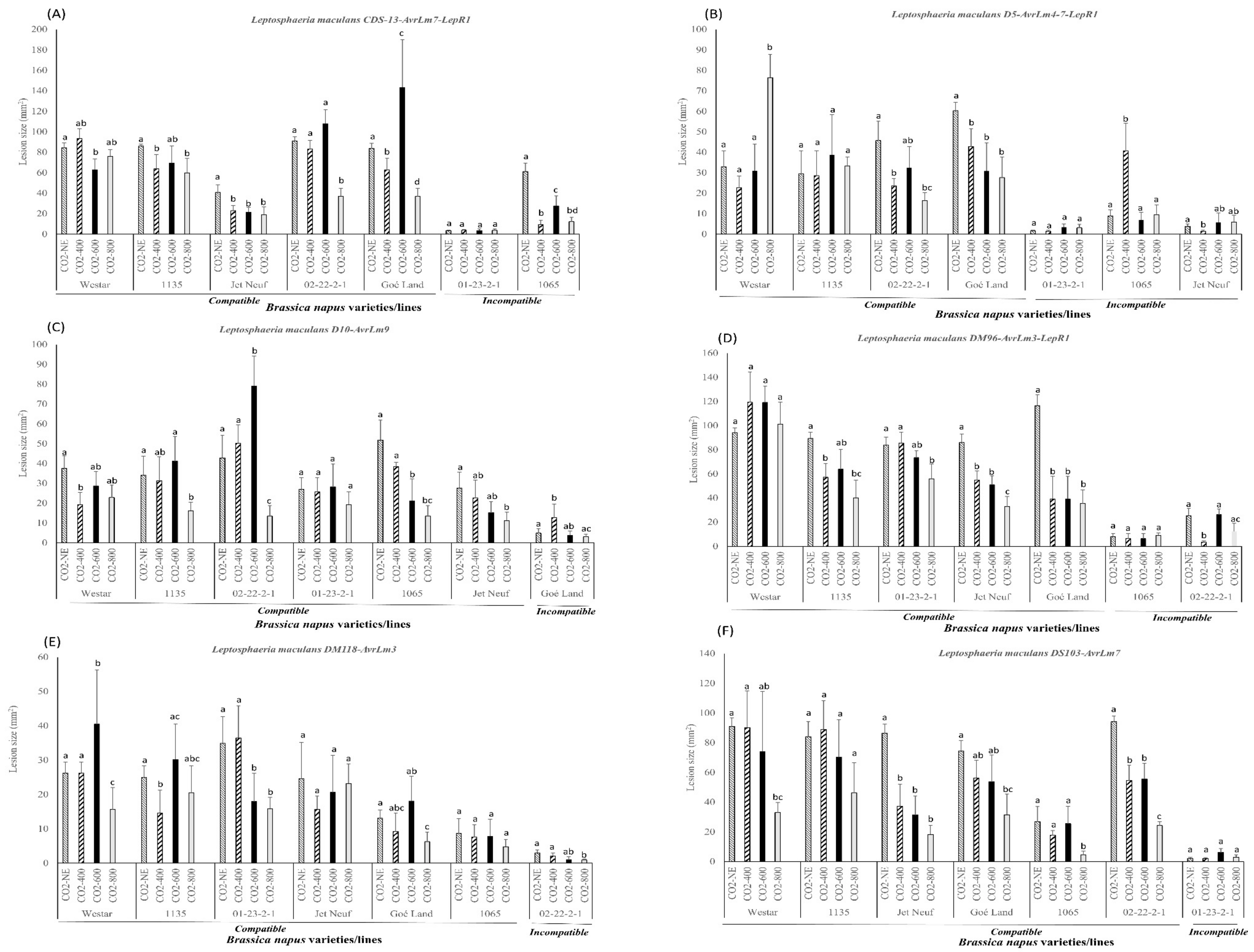 Plants 08 00484 g003