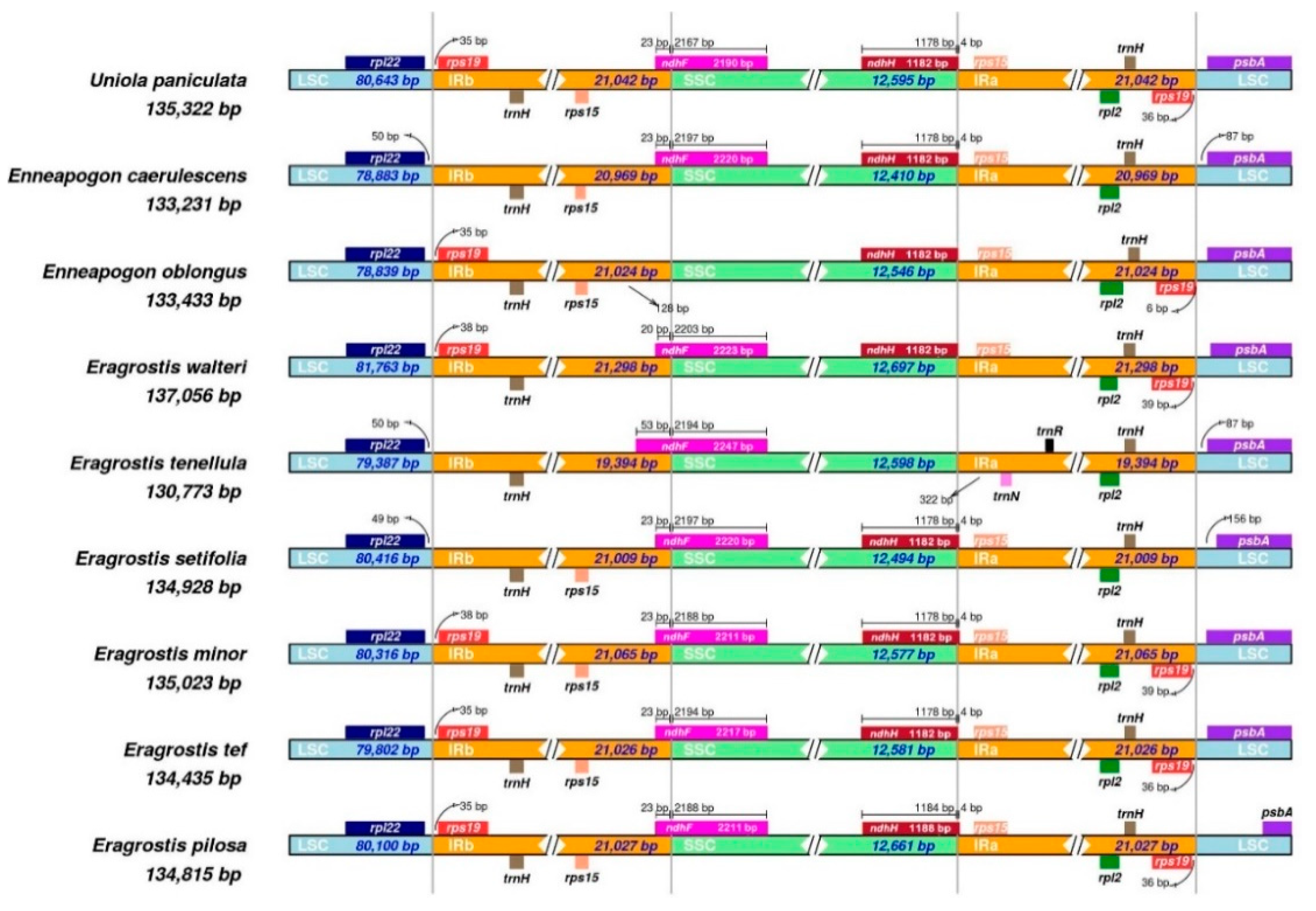 Plants 08 00485 g002 Plants 08 00485 g002