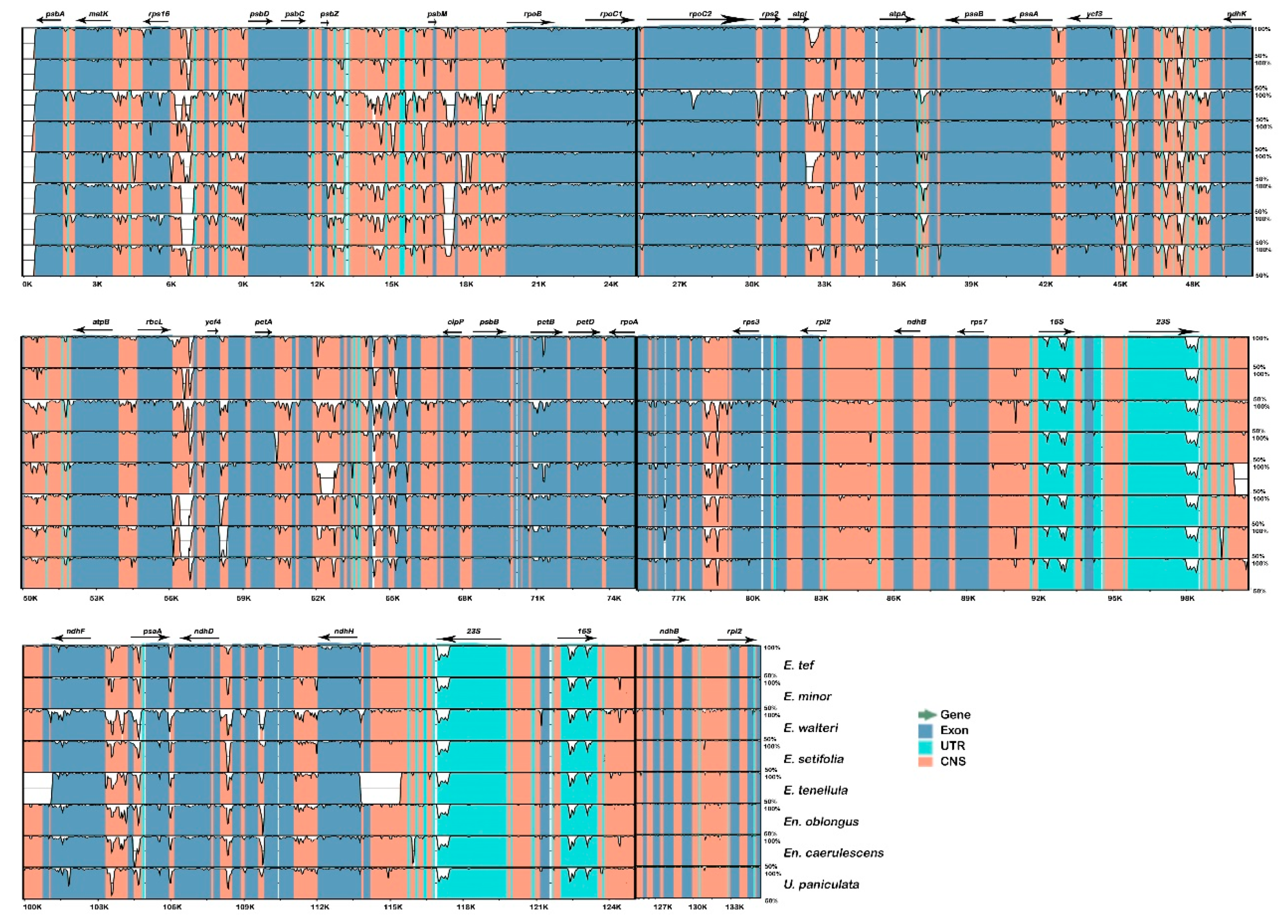 Plants 08 00485 g005 Plants 08 00485 g005