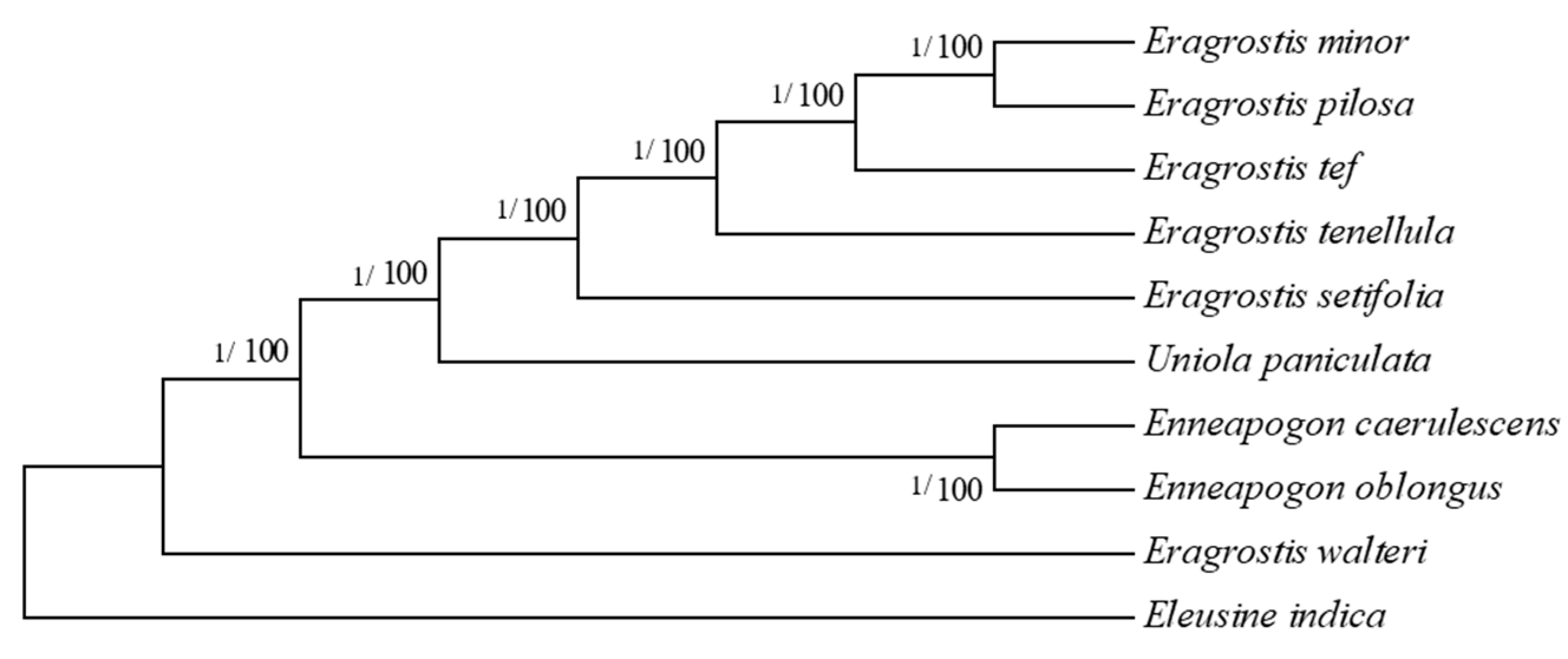 Plants 08 00485 g007 Plants 08 00485 g007