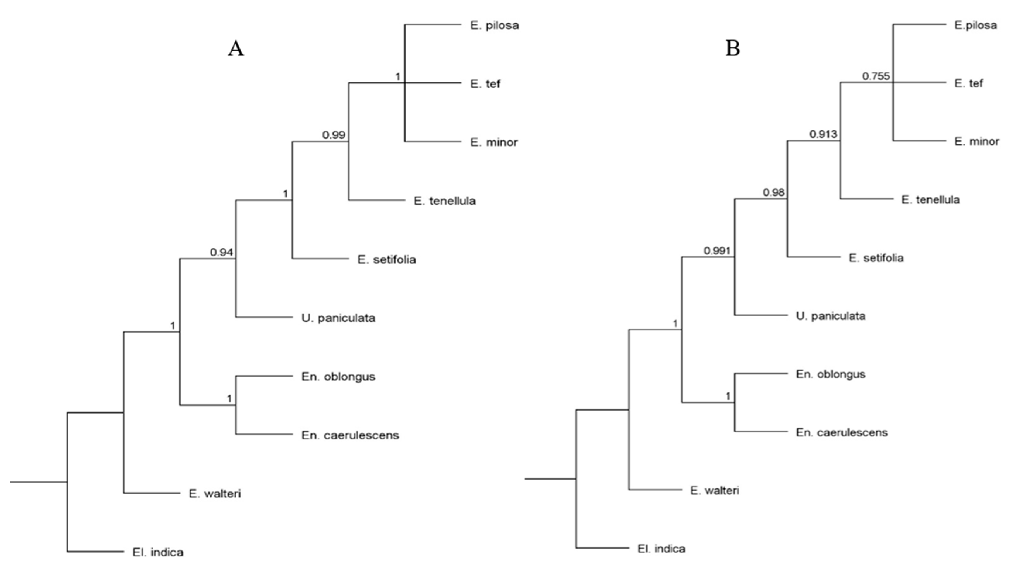 Plants 08 00485 g008 Plants 08 00485 g008