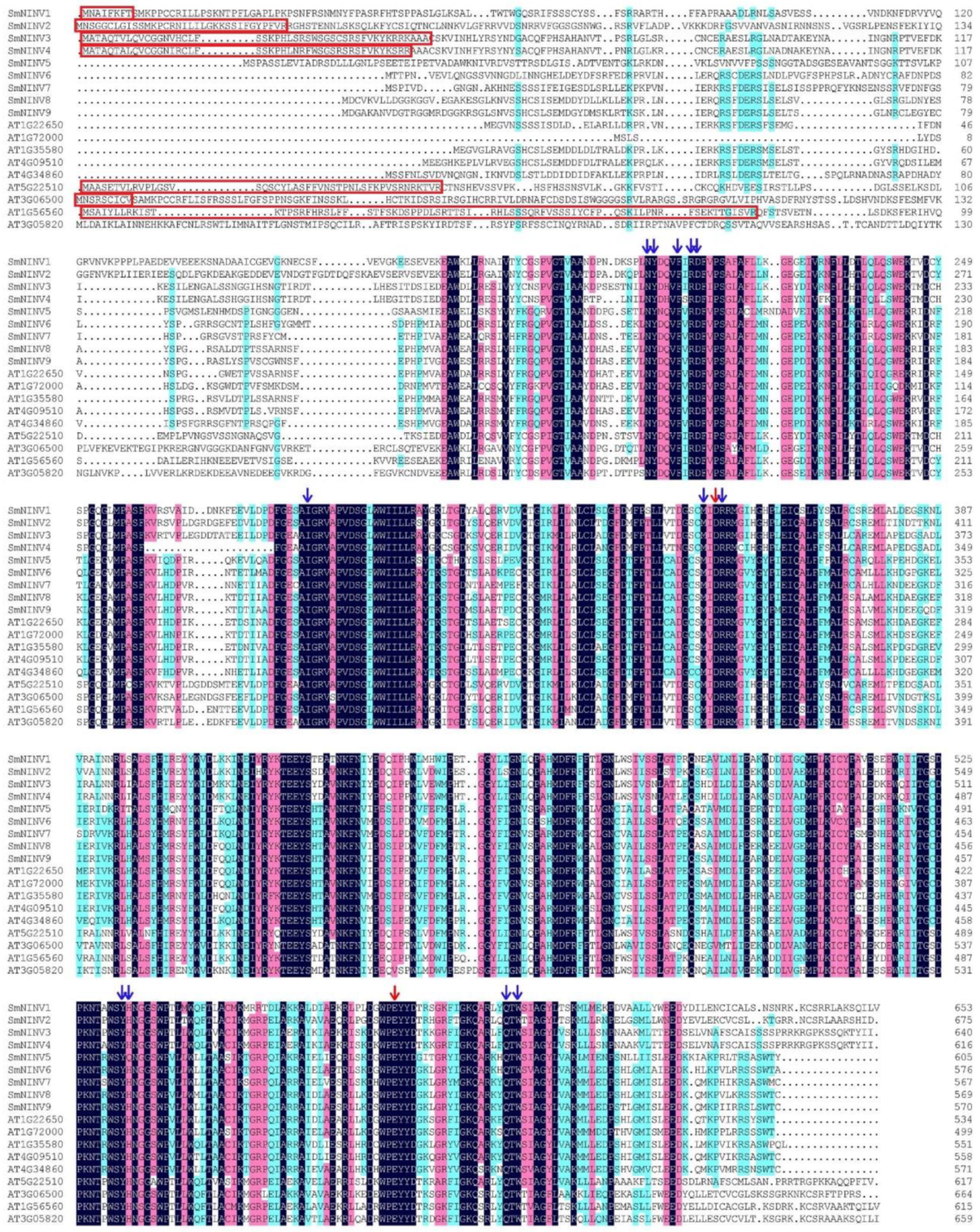 Plants 08 00490 g001