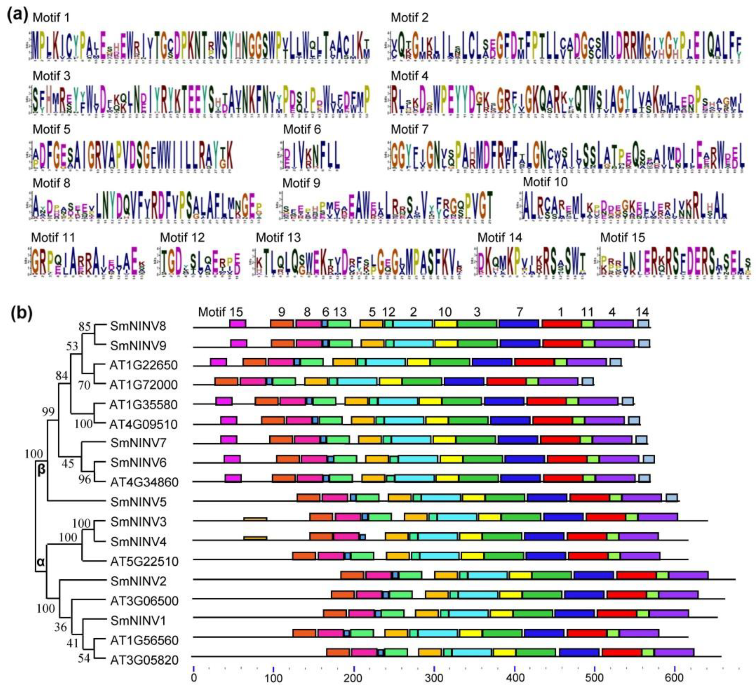 Plants 08 00490 g004