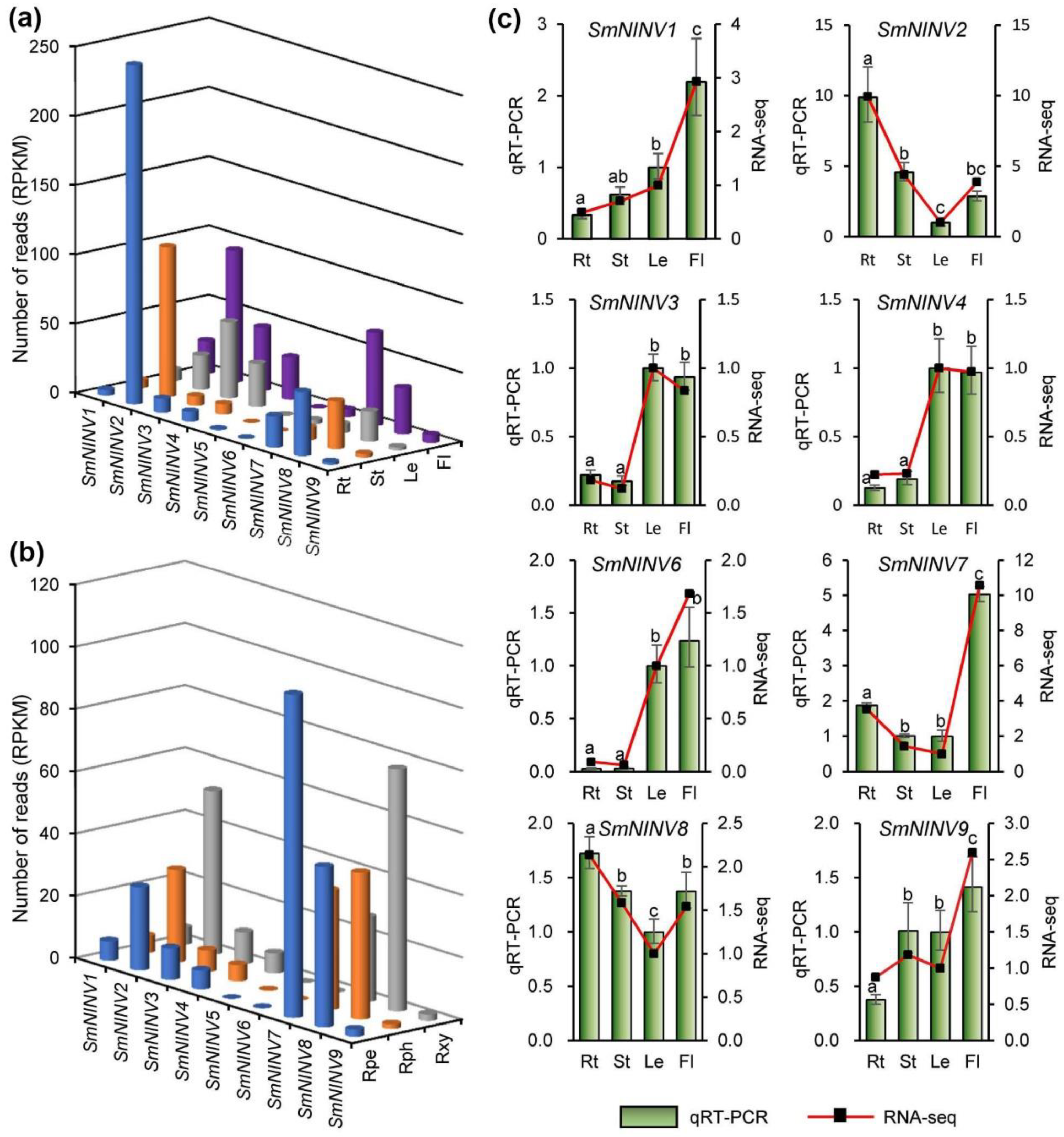 Plants 08 00490 g005