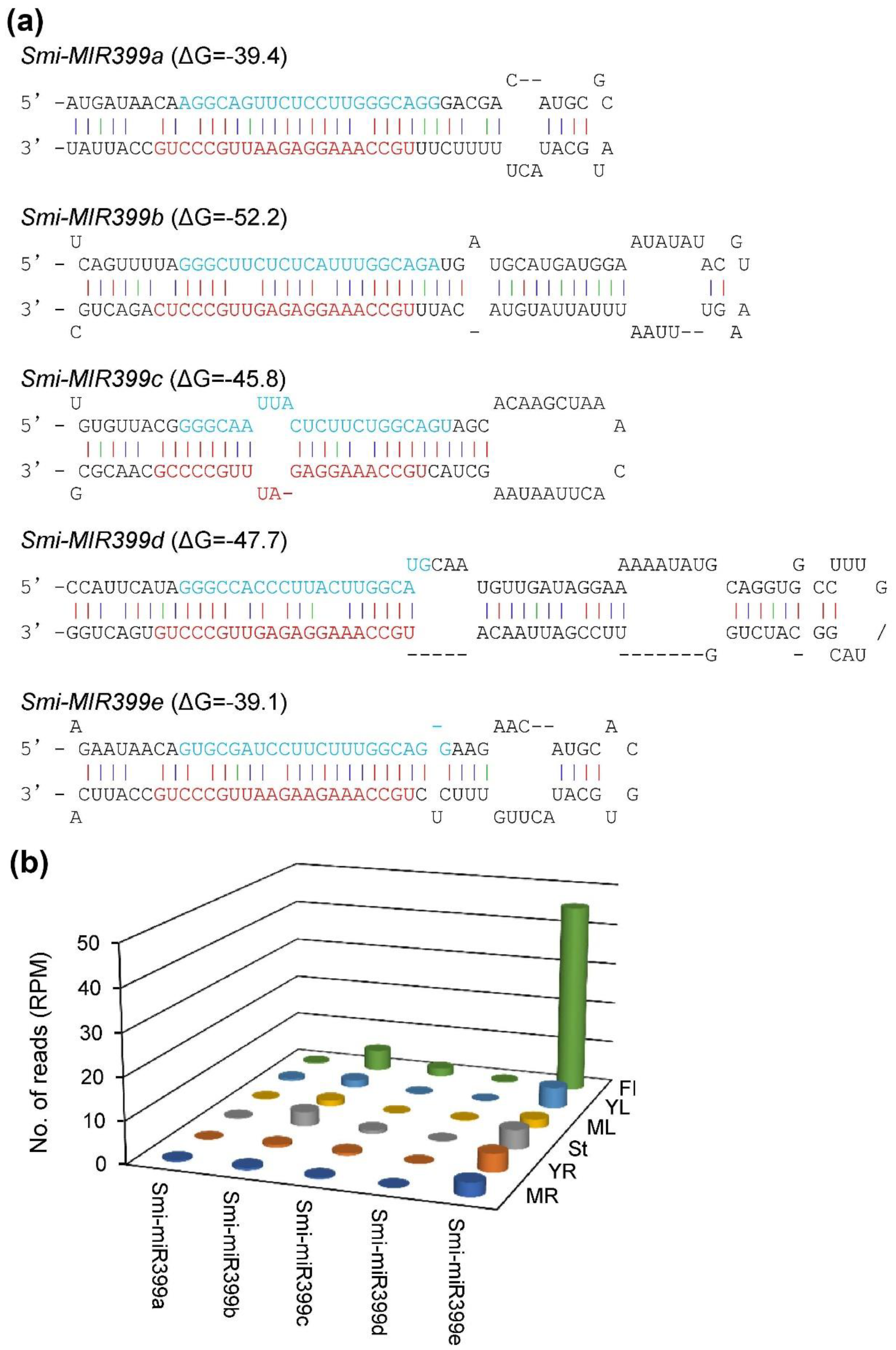 Plants 08 00490 g007