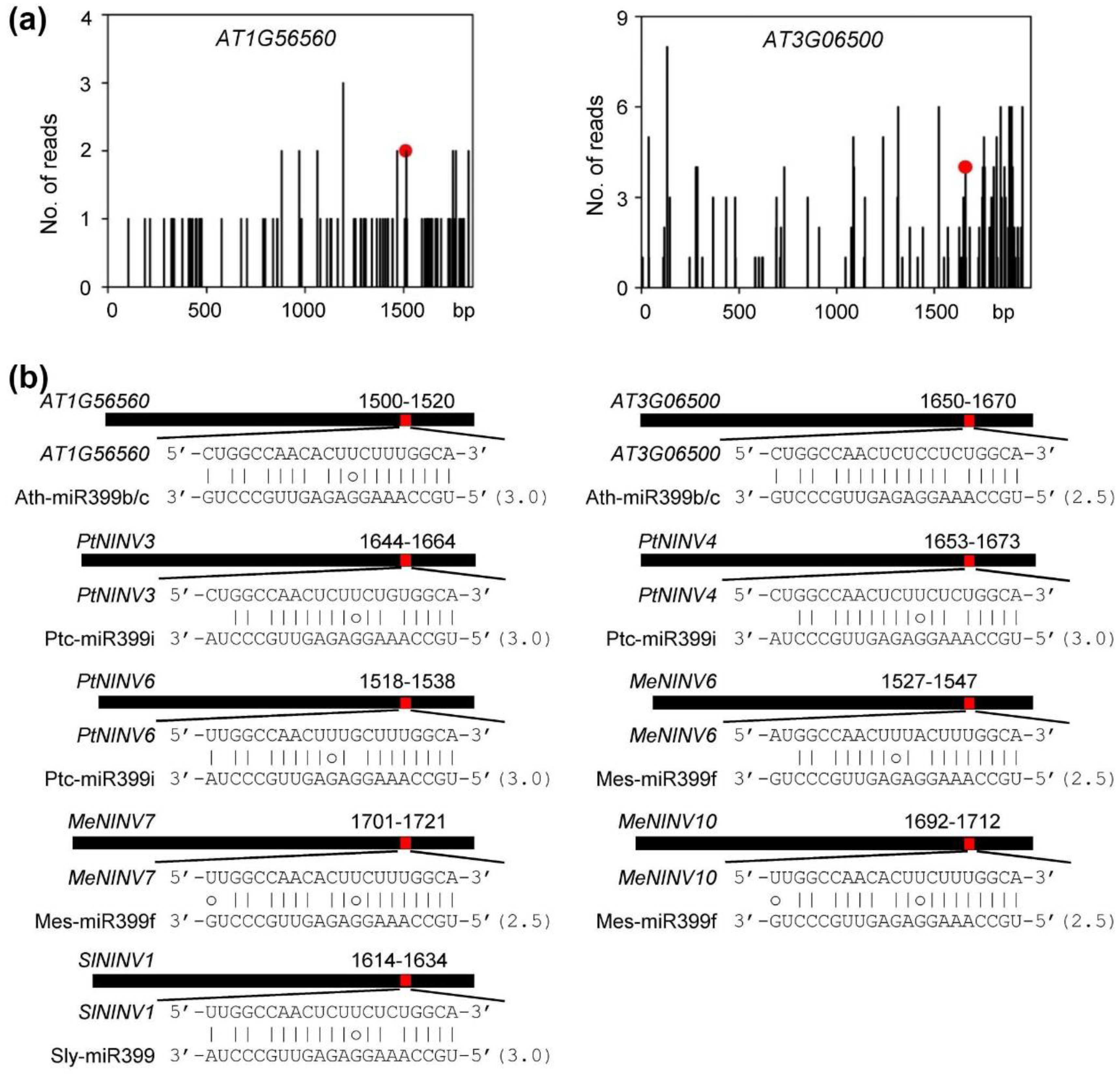 Plants 08 00490 g010