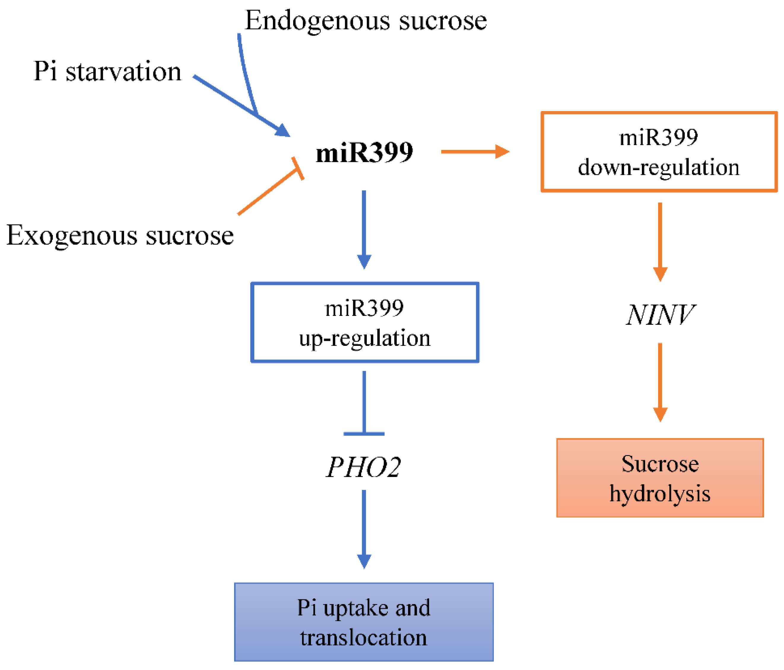 Plants 08 00490 g012