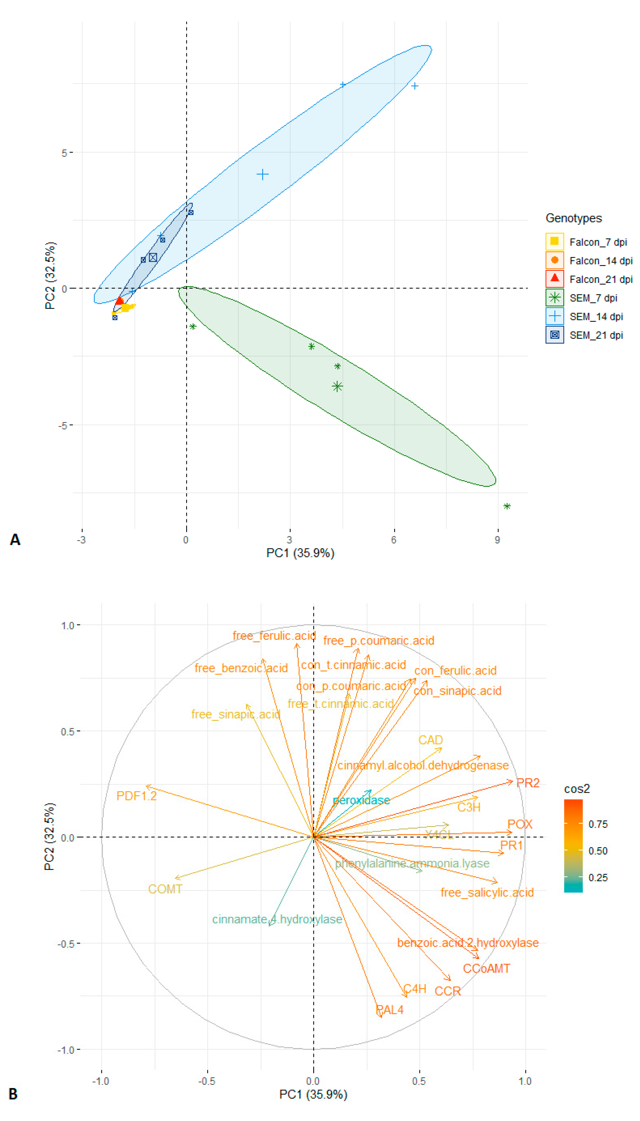 Plants 08 00491 g006 Plants 08 00491 g006