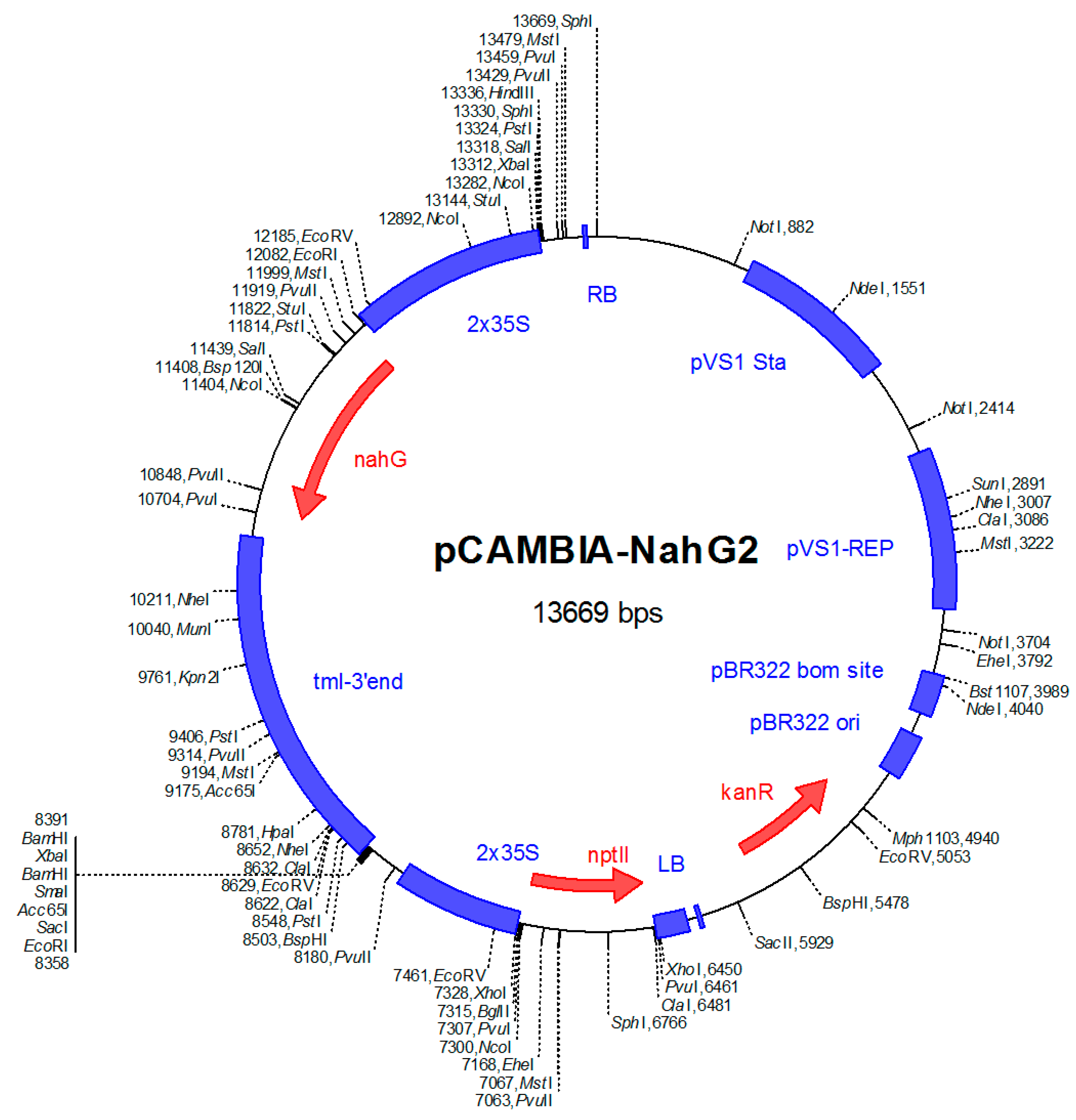 Plants 08 00491 g007 Plants 08 00491 g007