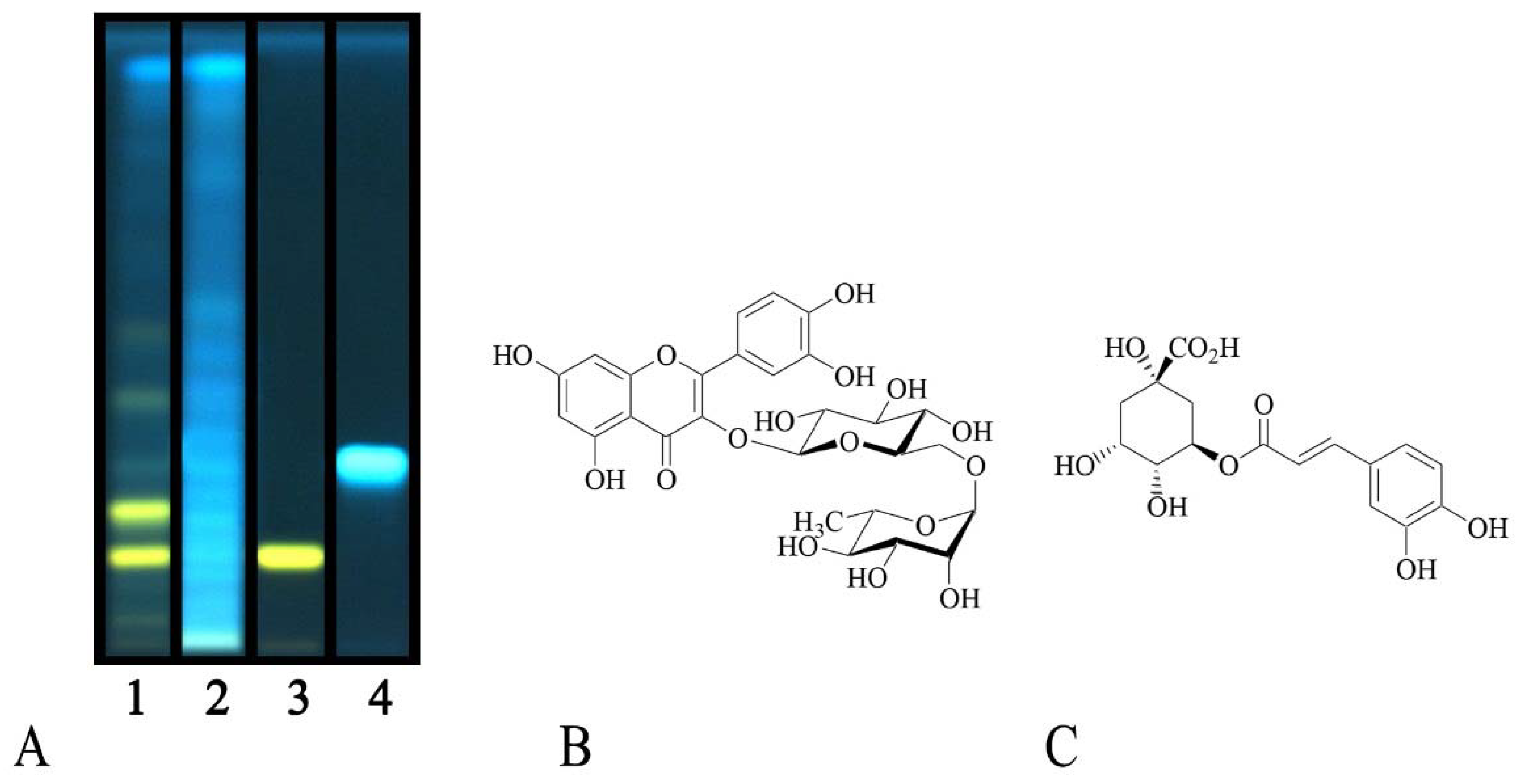 Plants 08 00505 g001 550