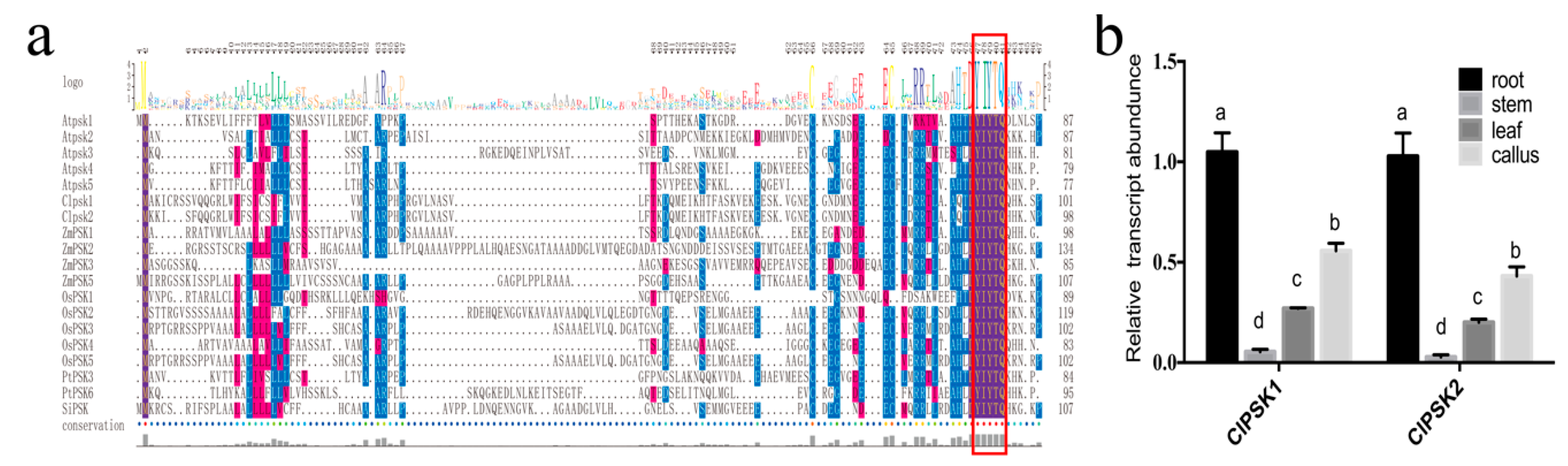 Plants 08 00520 g001 Plants 08 00520 g001