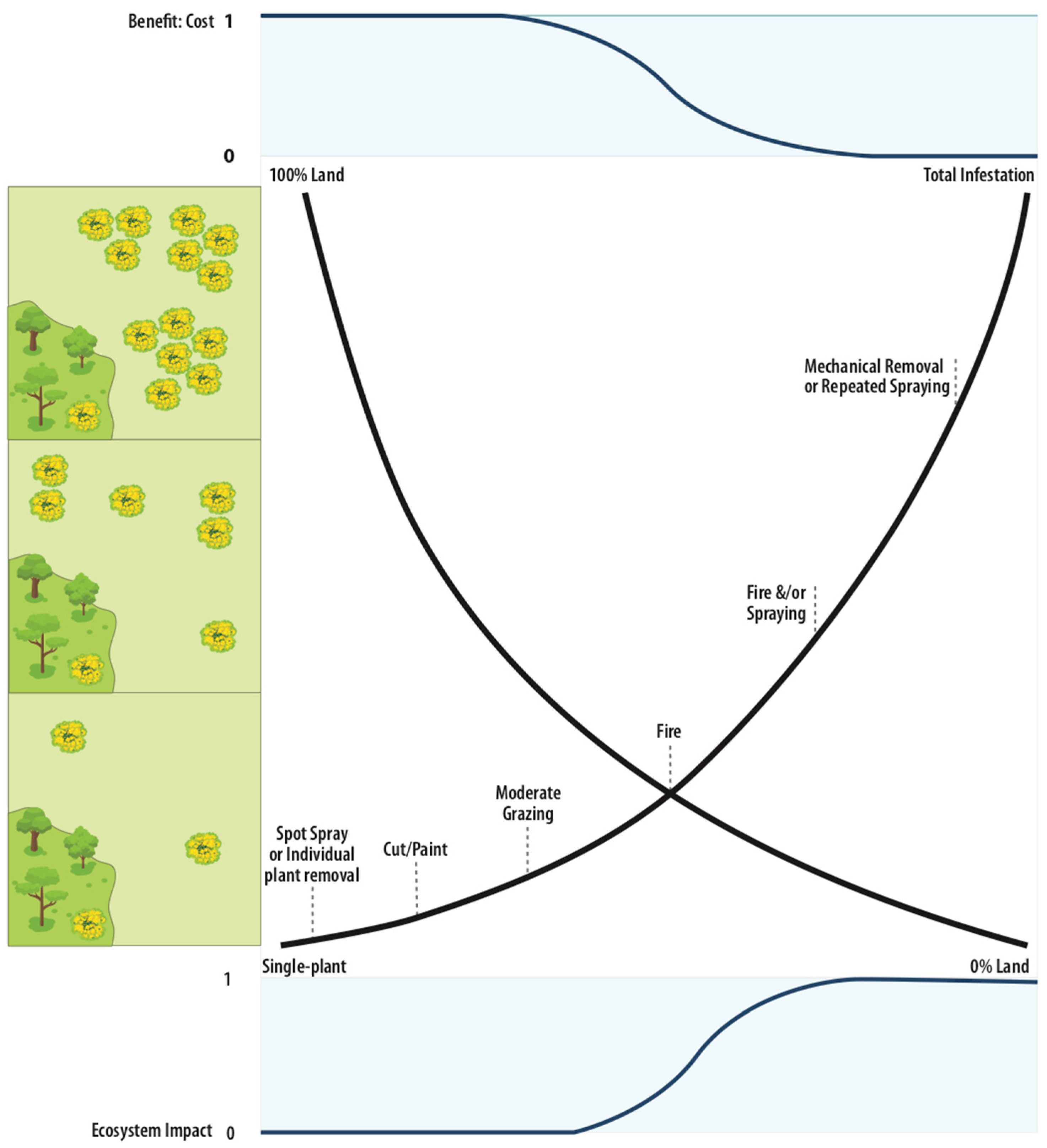 Plants 08 00523 g004