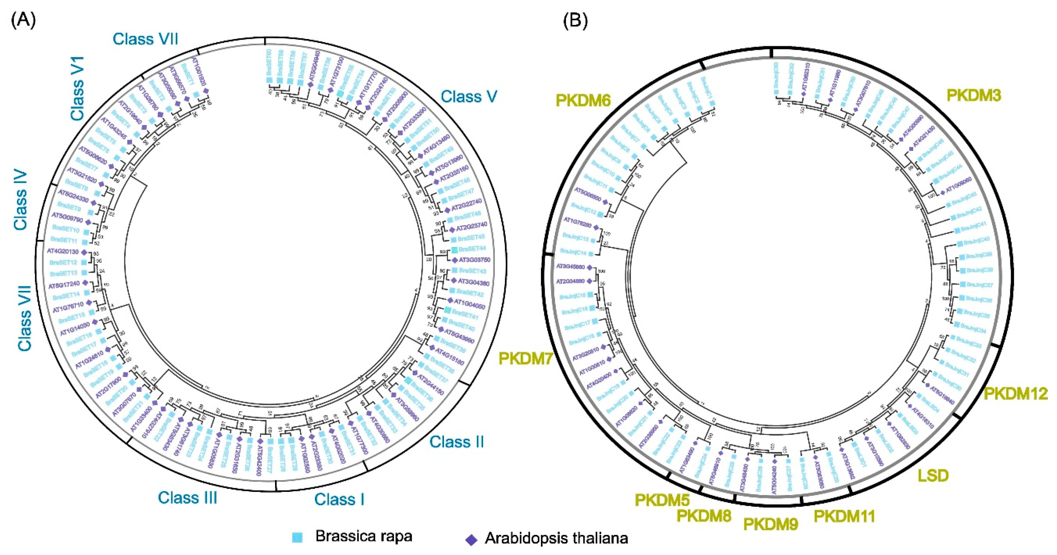 Plants 08 00526 g001 Plants 08 00526 g001