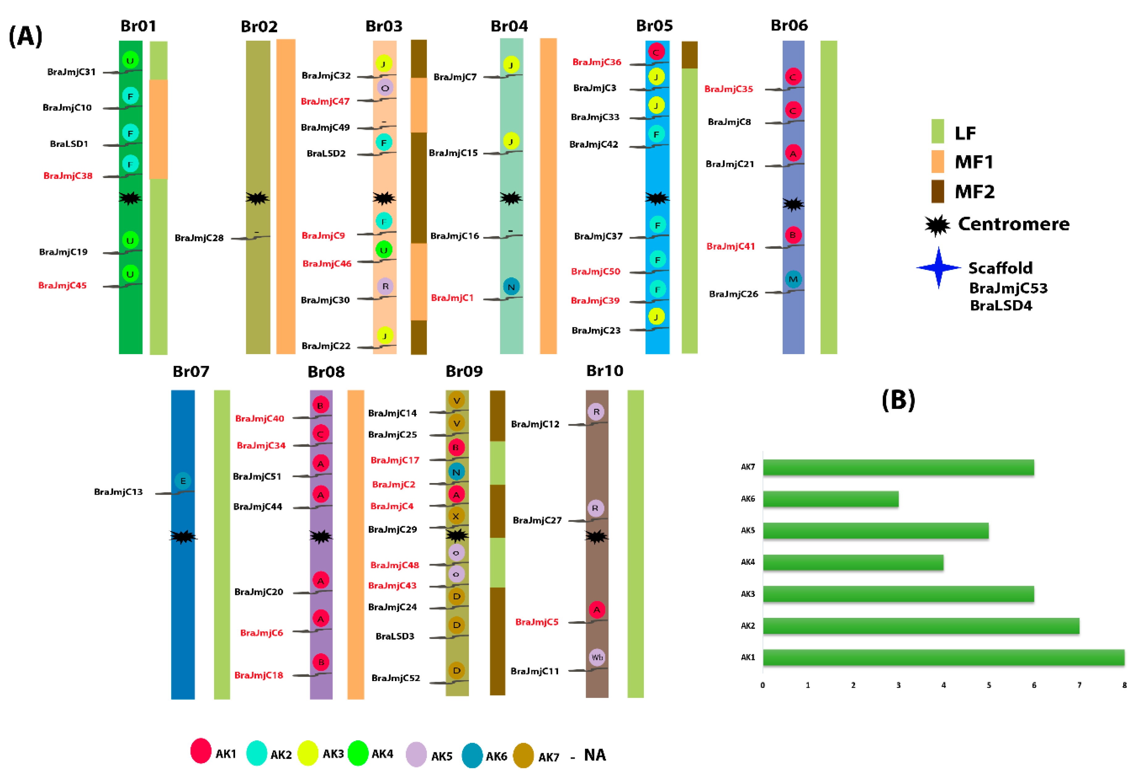 Plants 08 00526 g003 Plants 08 00526 g003