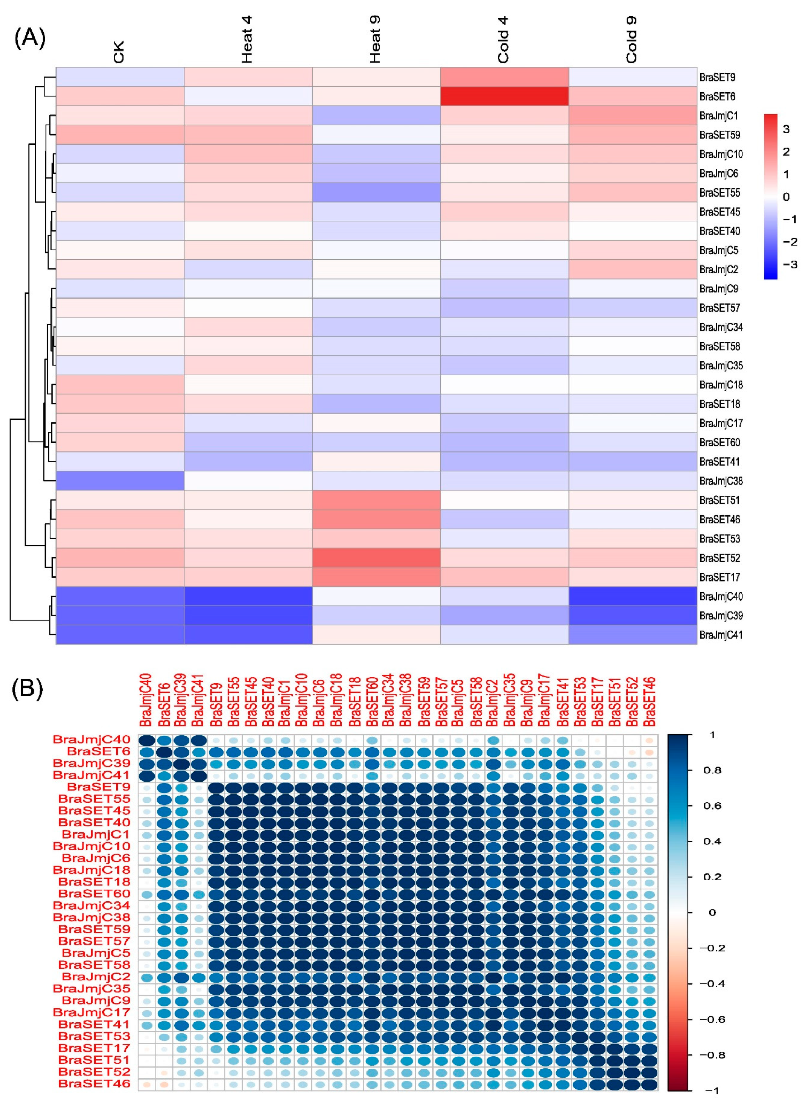 Plants 08 00526 g006 Plants 08 00526 g006