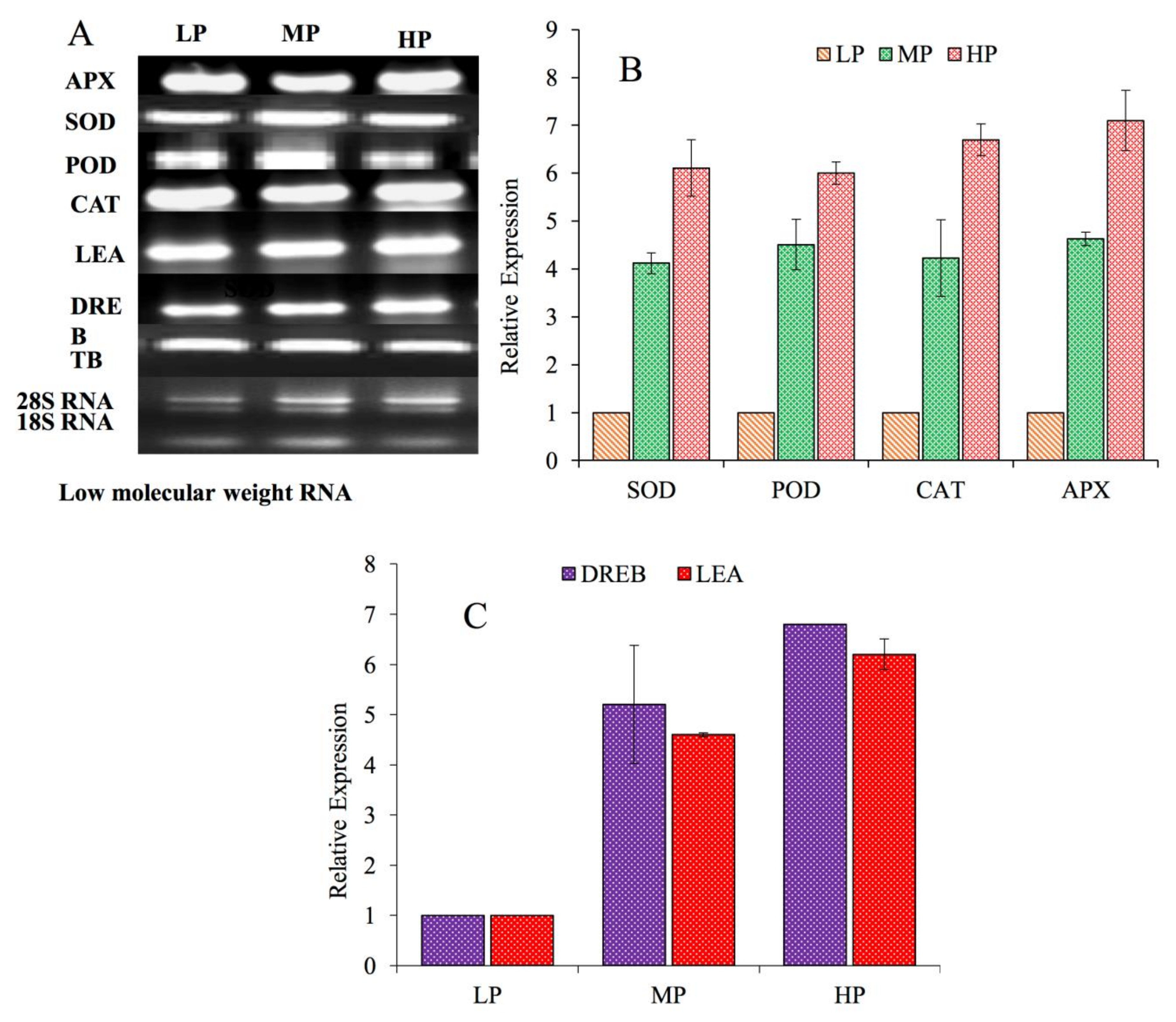 Plants 08 00528 g004 Plants 08 00528 g004