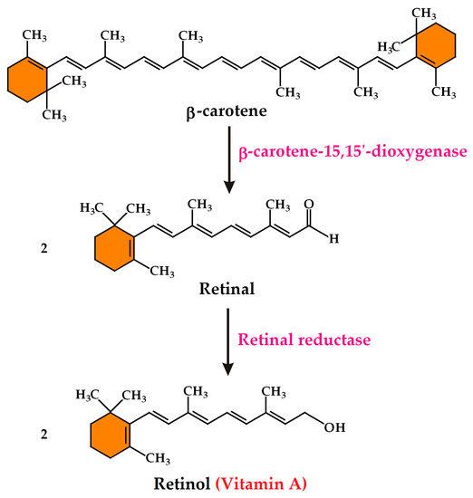 Plants Special Issue Carotenoid Biosynthesis, Regulation, Storage