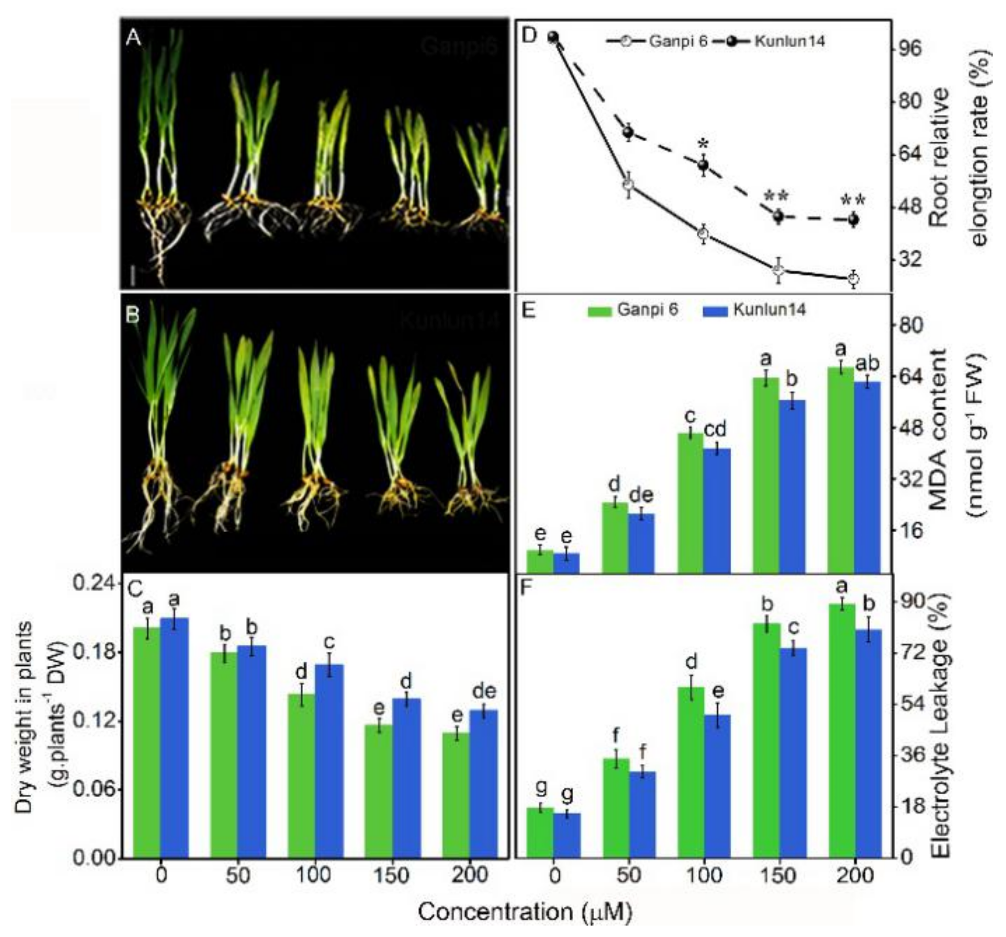 Plants 08 00557 g001 Plants 08 00557 g001