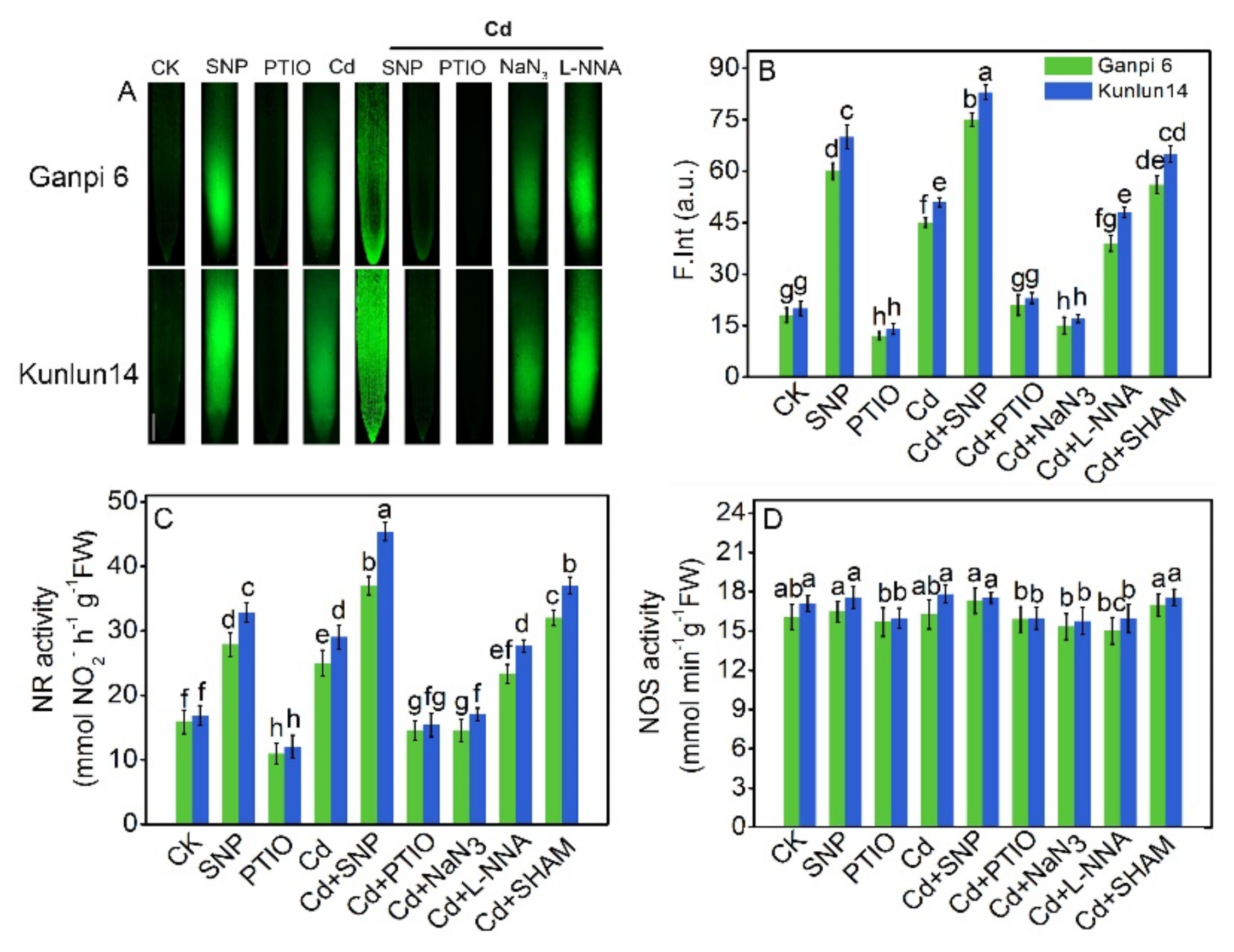 Plants 08 00557 g003 Plants 08 00557 g003