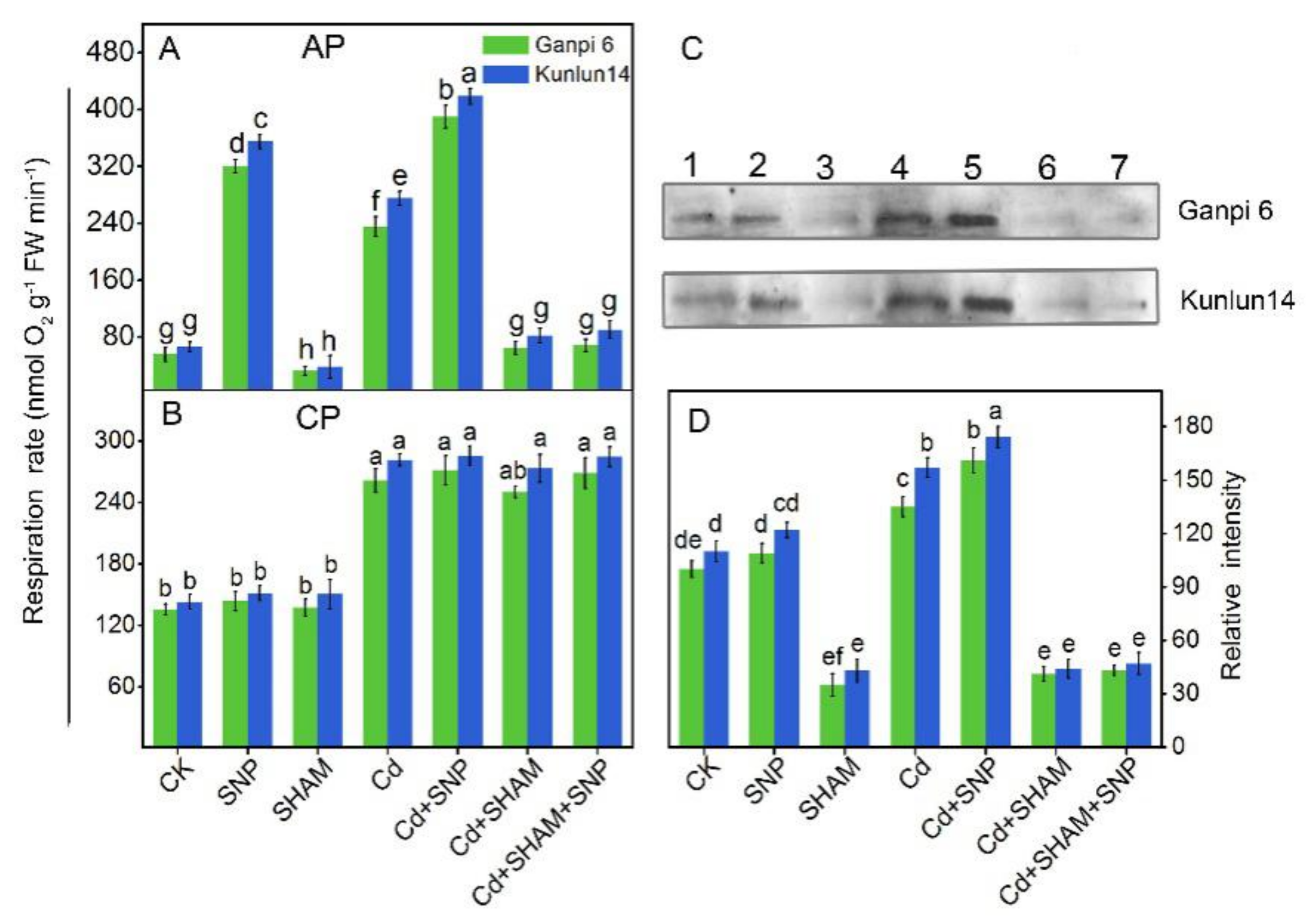 Plants 08 00557 g006 Plants 08 00557 g006