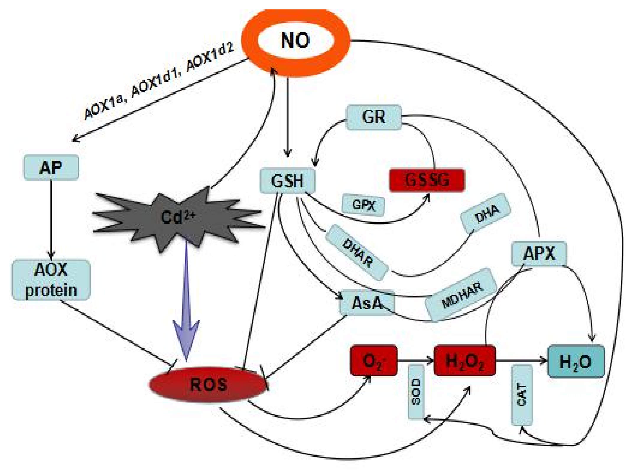 Plants 08 00557 g010 Plants 08 00557 g010