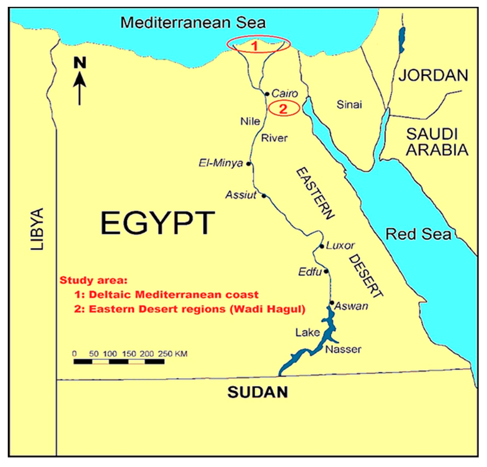 Plants 08 00569 g005