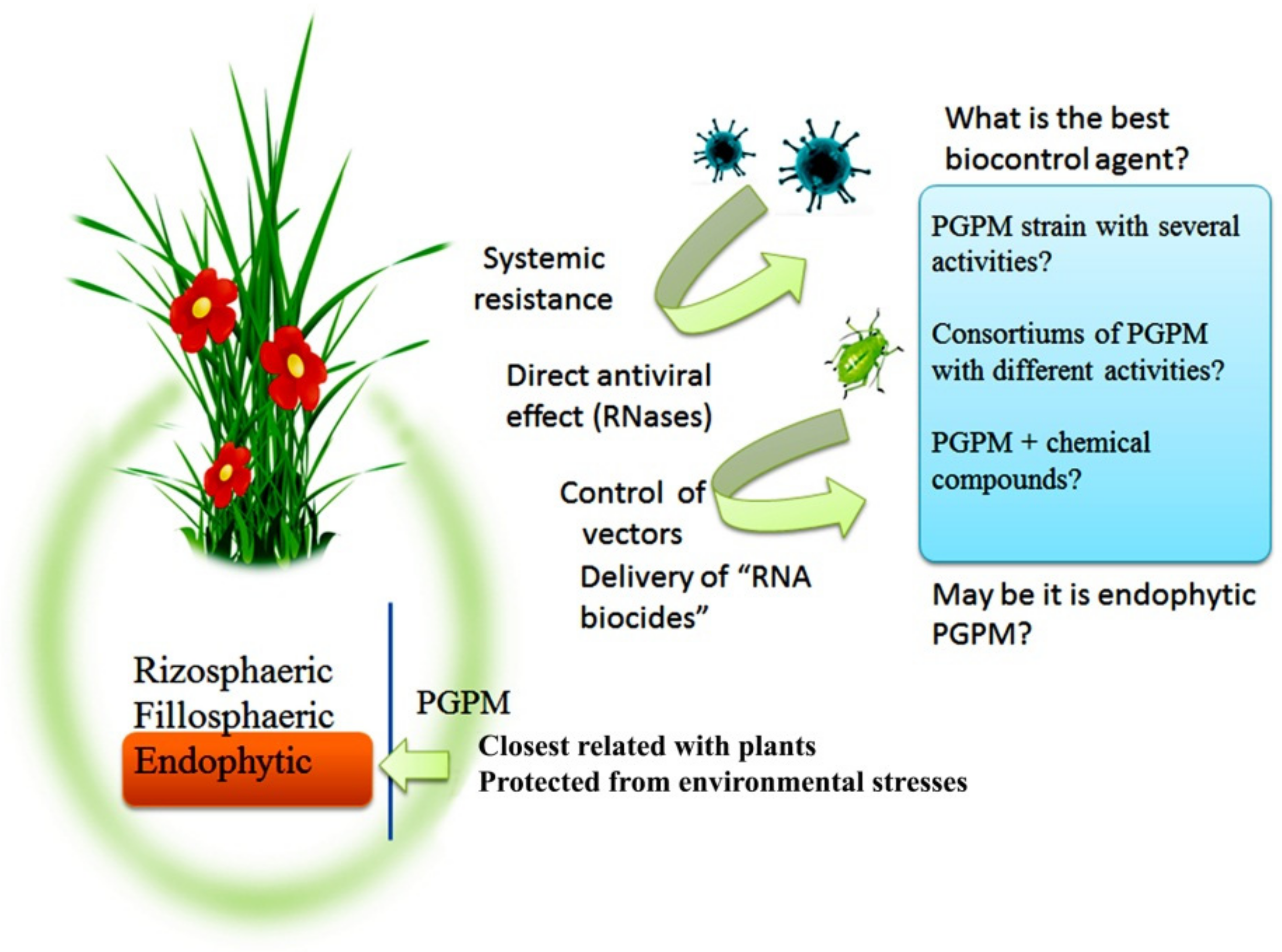 Plant protection. Viral disease Plant. Plant virus. Plant Protection products. Plants virus Resistance.