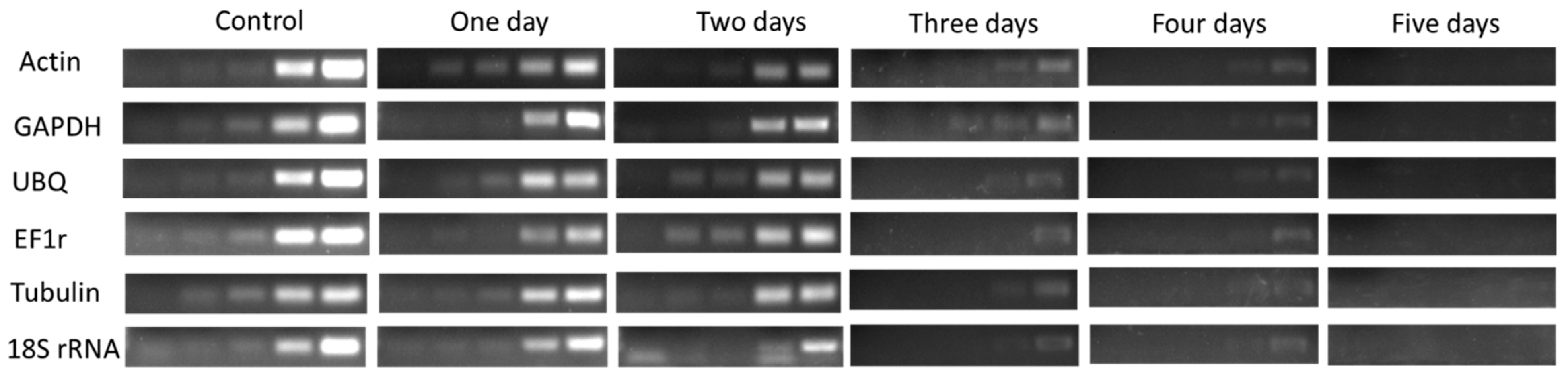 Plants 08 00577 g007