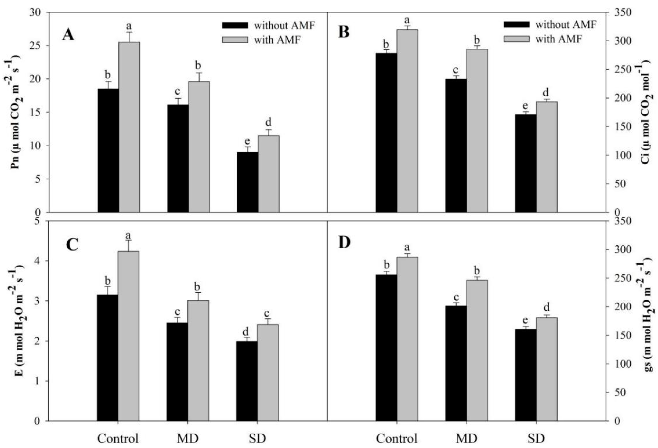 Plants 08 00579 g002