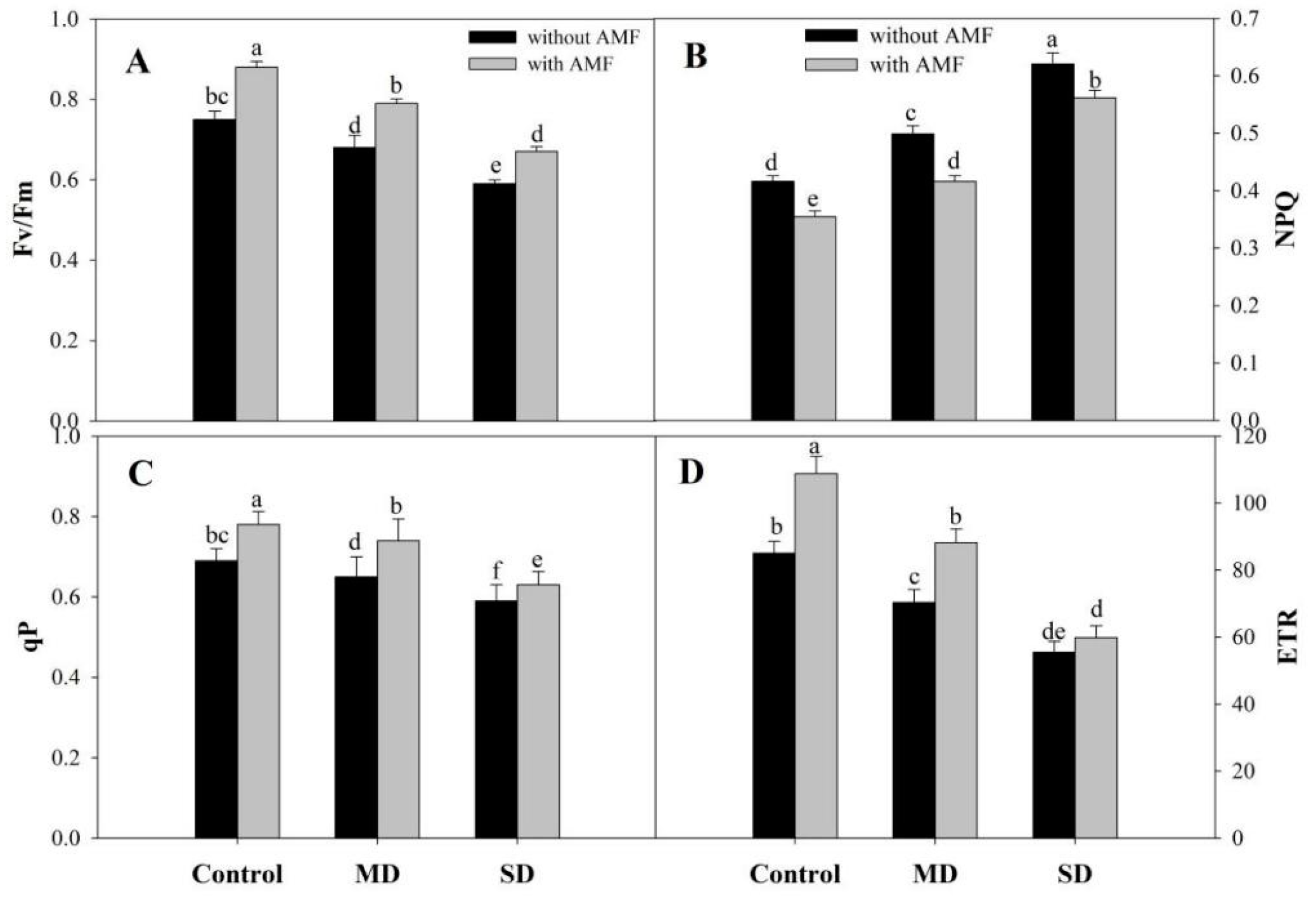 Plants 08 00579 g003