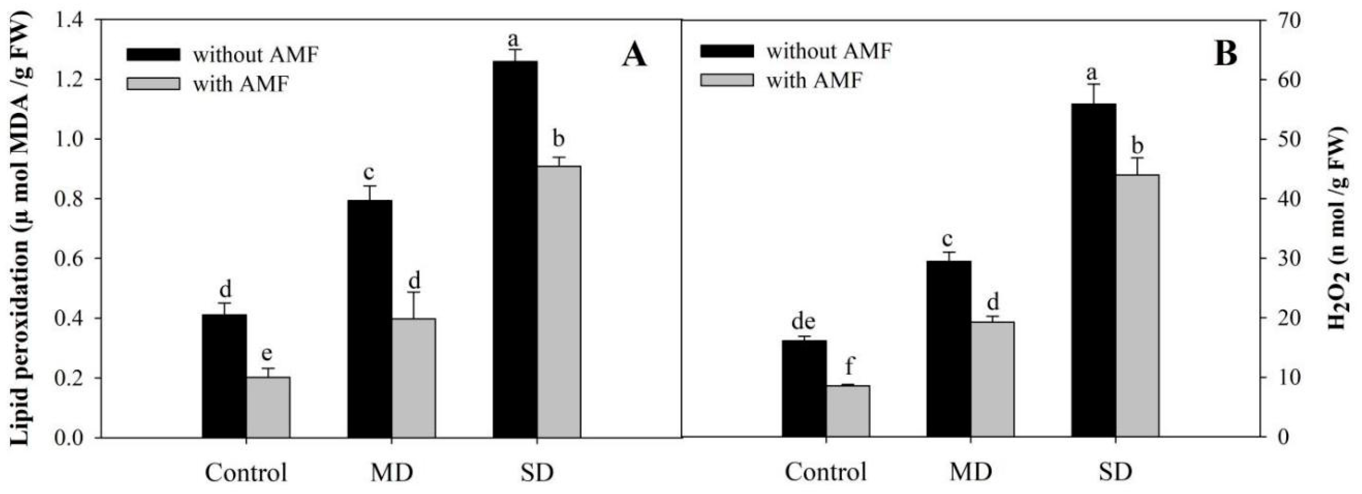 Plants 08 00579 g004