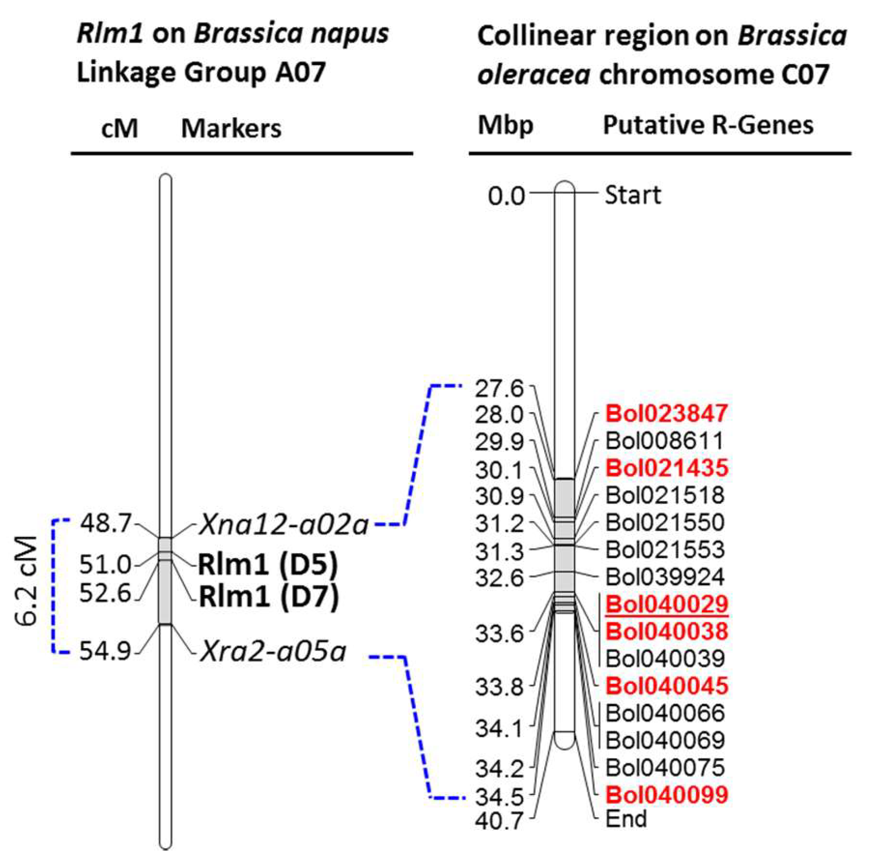 Plants 08 00583 g002