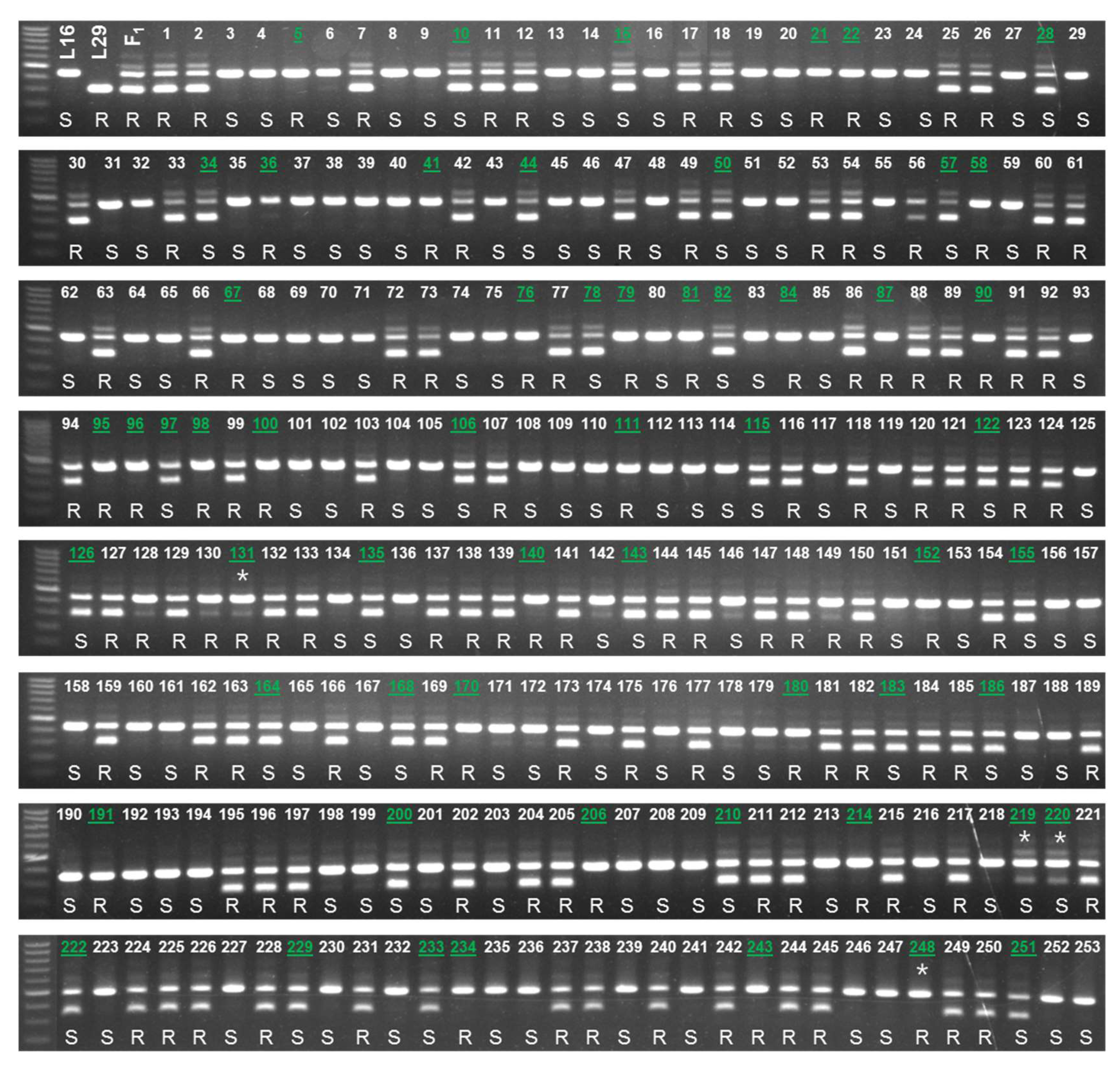 Plants 08 00583 g006