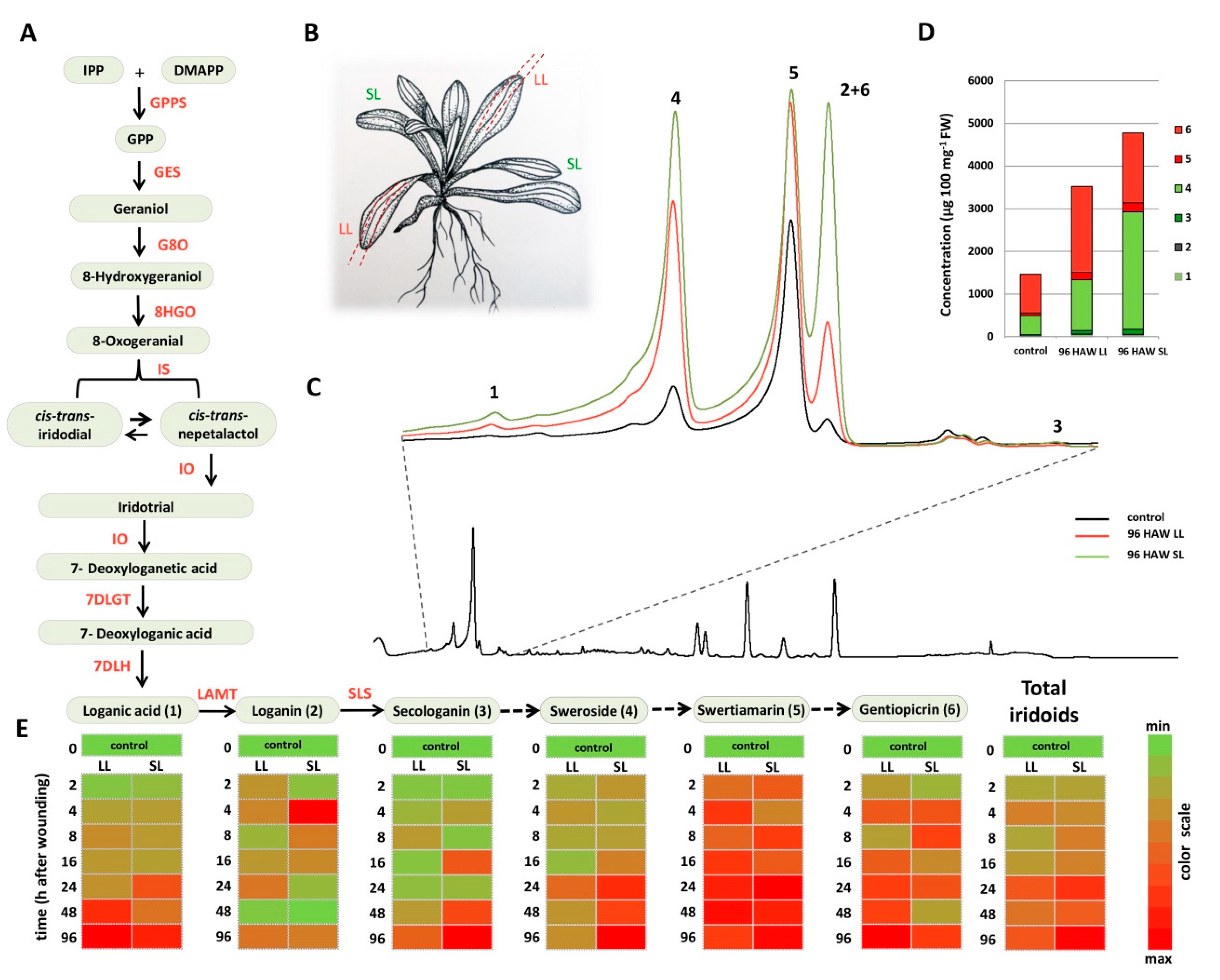 Plants 08 00589 g001