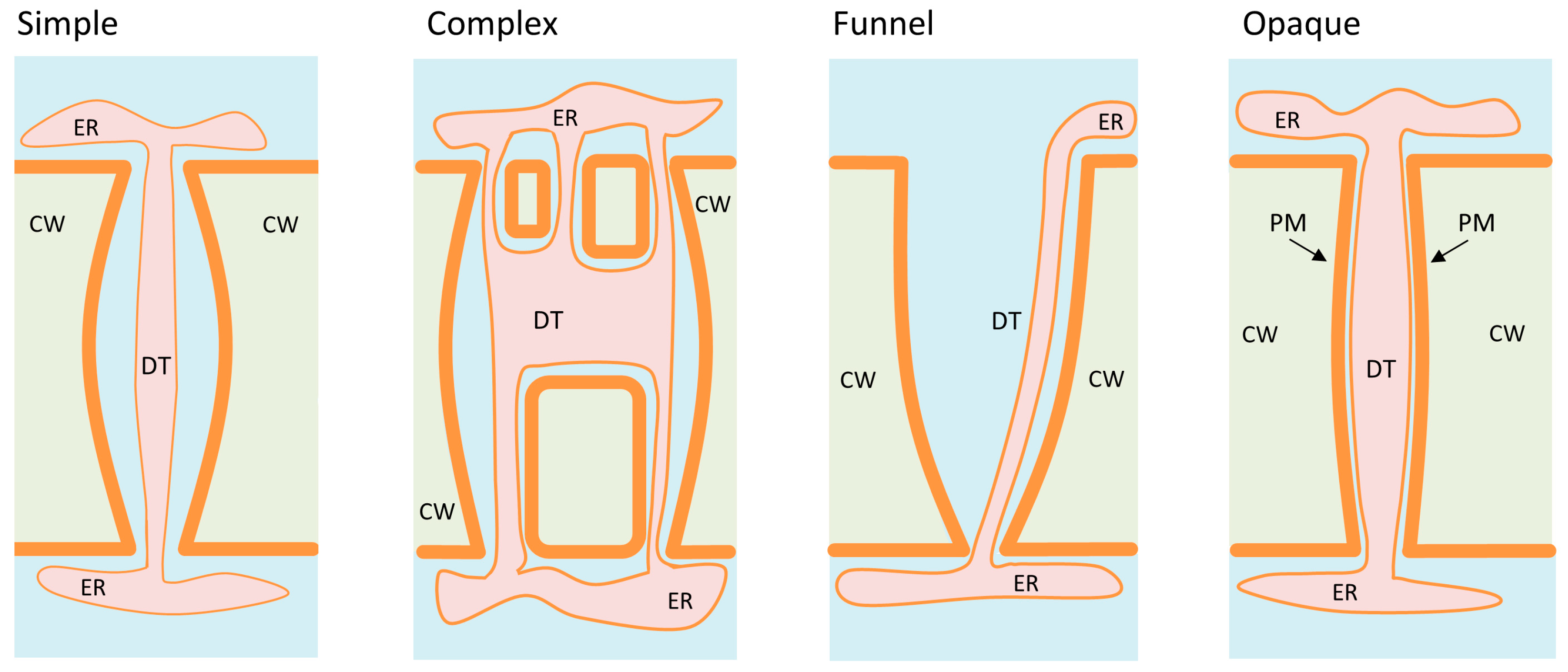 Plants 08 00595 g001 Plants 08 00595 g001
