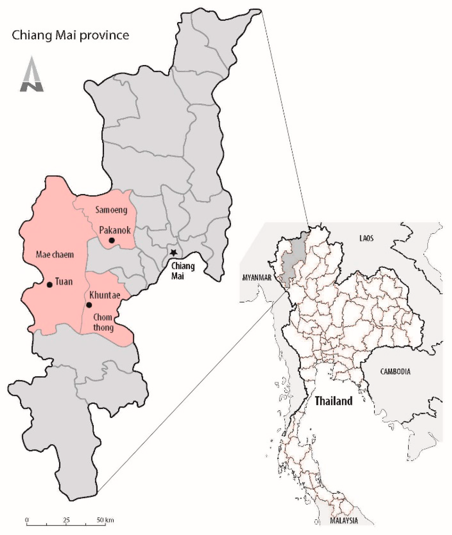 Plants 08 00600 g003 Plants 08 00600 g003