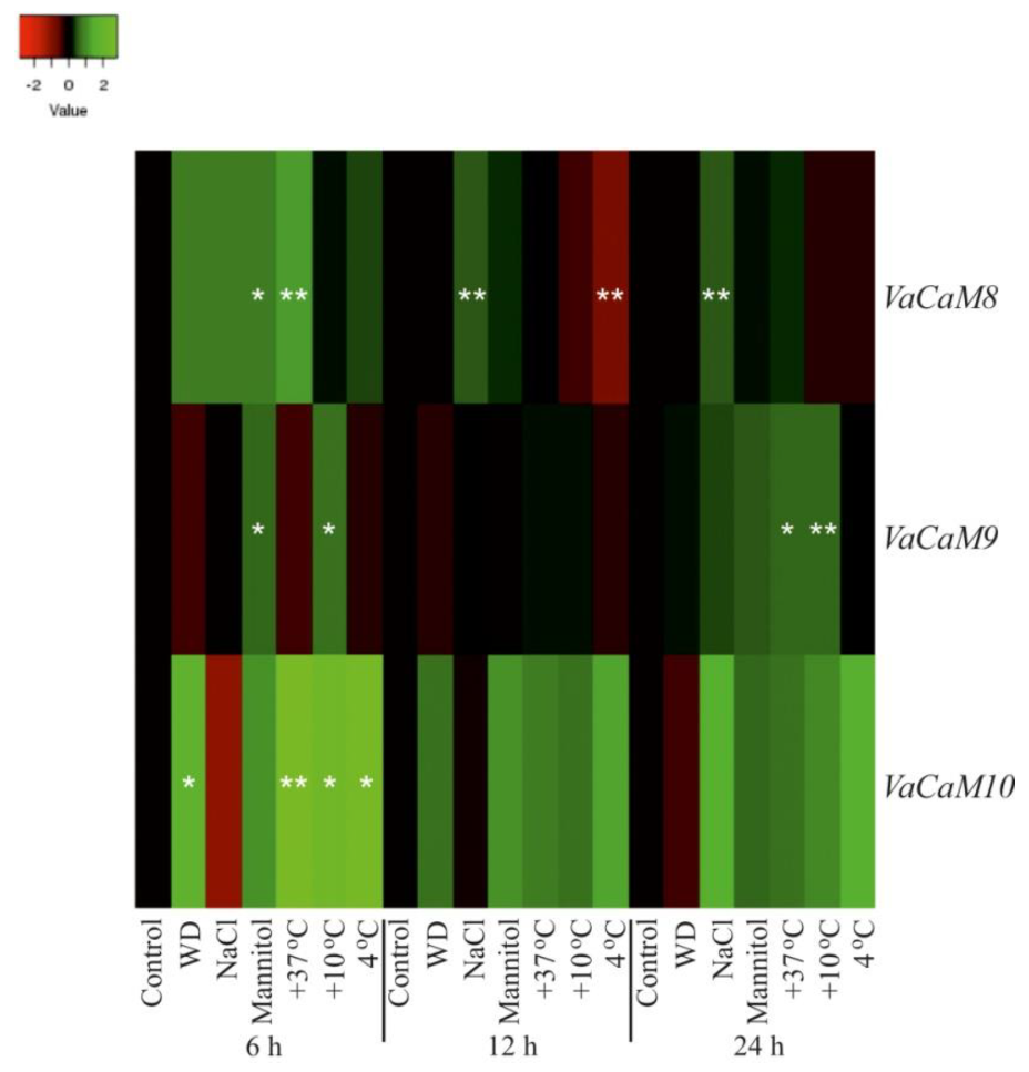 Plants 08 00602 g002 Plants 08 00602 g002