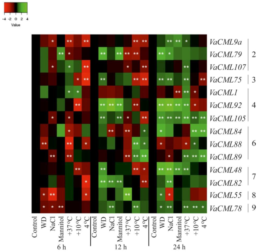 Plants 08 00602 g005 Plants 08 00602 g005