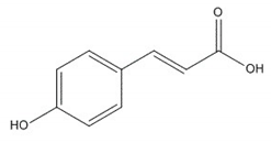 Plants 08 00604 i004 Plants 08 00604 i004