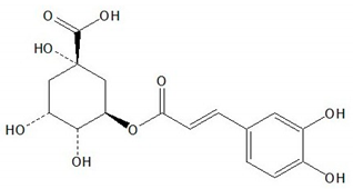Plants 08 00604 i007 Plants 08 00604 i007