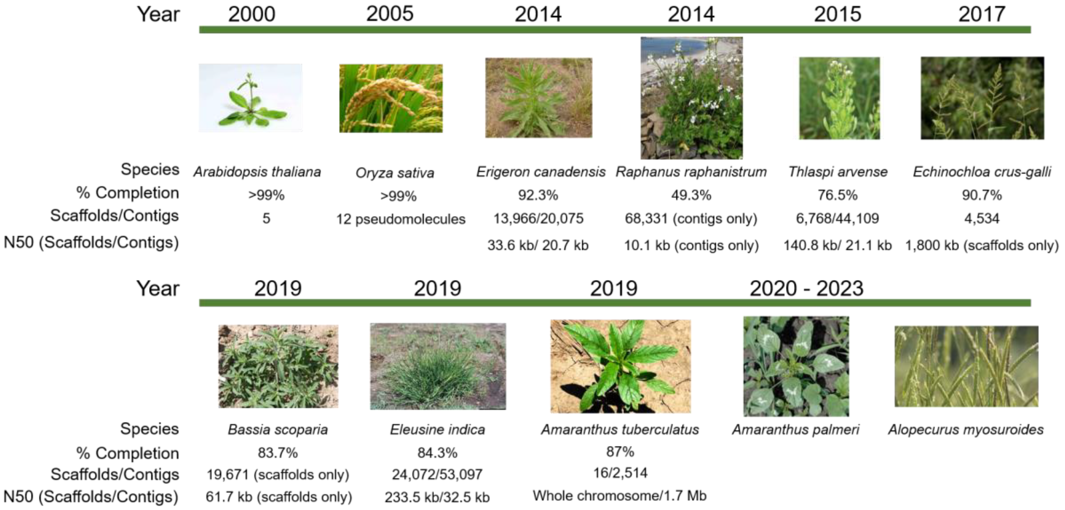 Plants 08 00607 g001 Plants 08 00607 g001