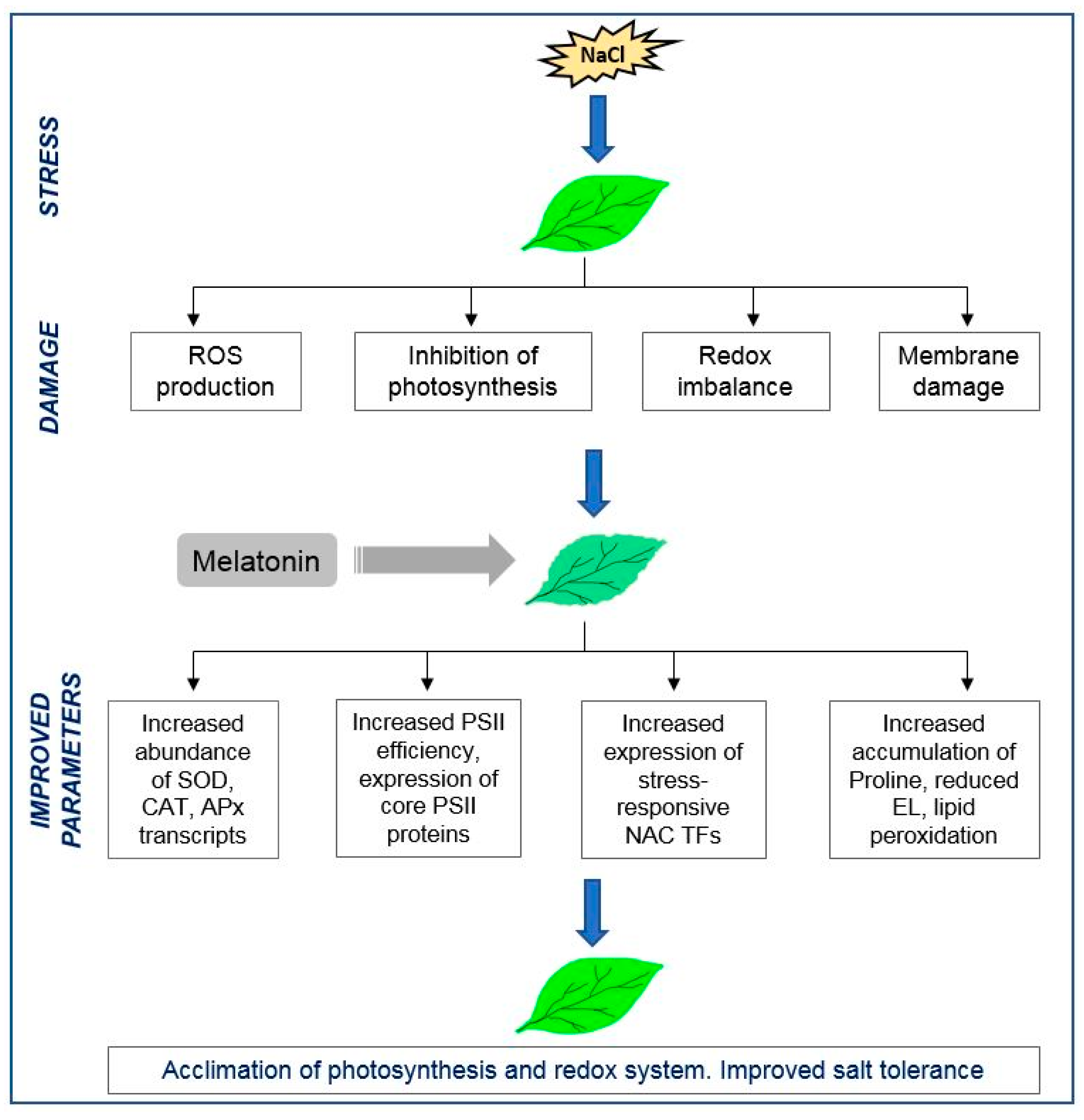 Plants 08 00610 g006