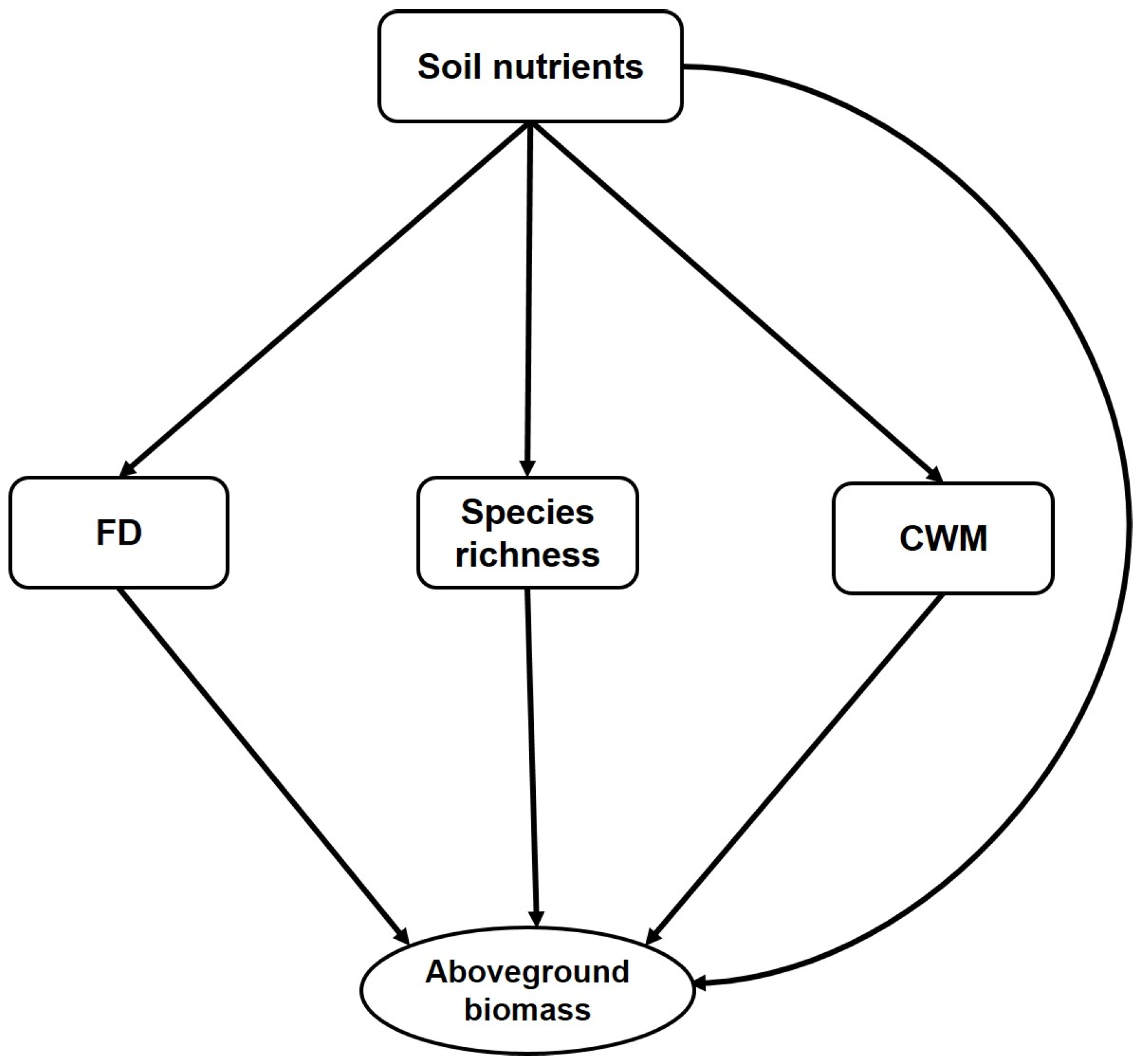 Plants 08 00612 g001