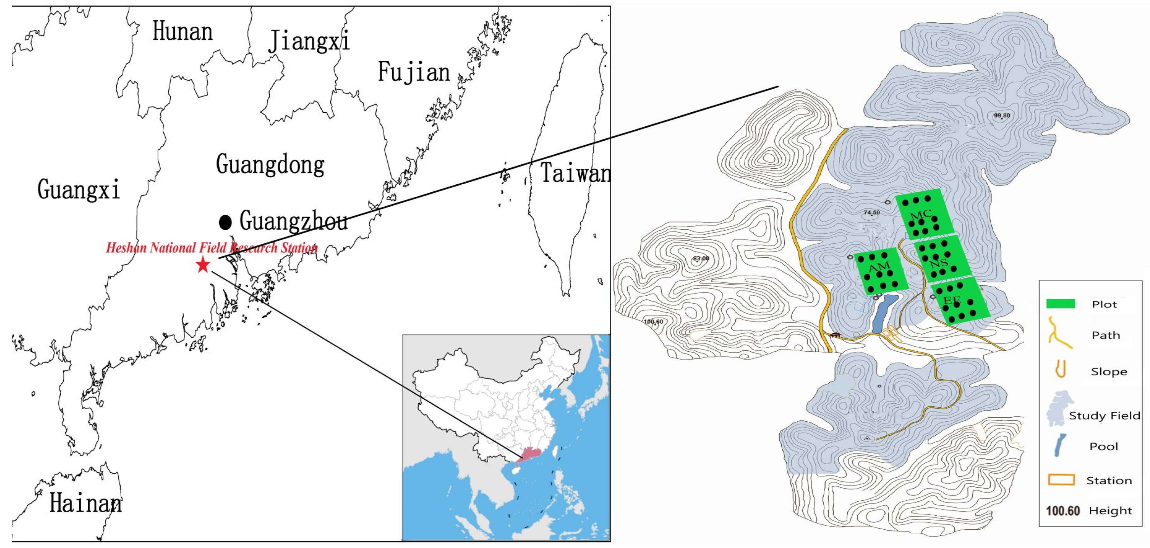 Plants 08 00612 g0a3