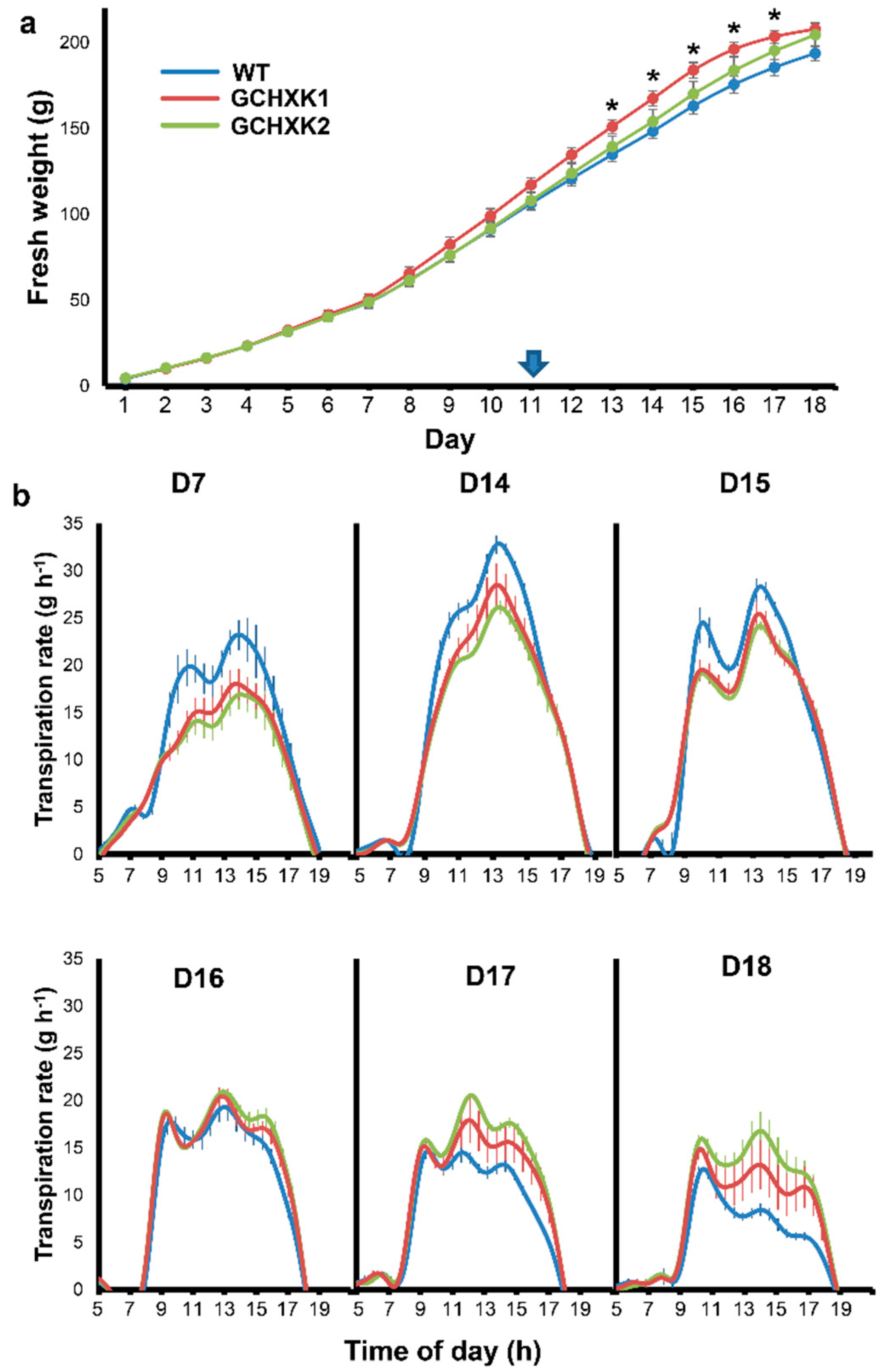 Plants 08 00613 g002 Plants 08 00613 g002